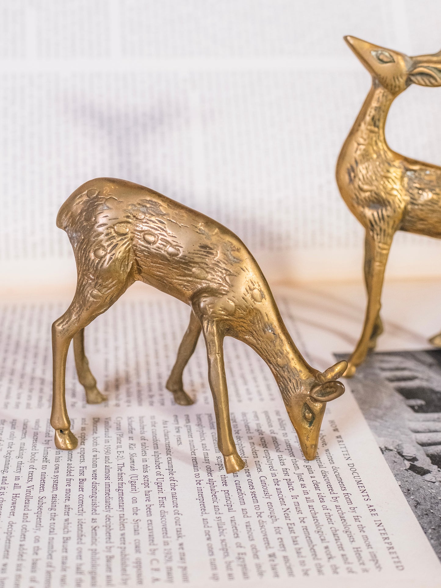 Vintage 1950s Solid Brass Deer Figurines | Set of 2