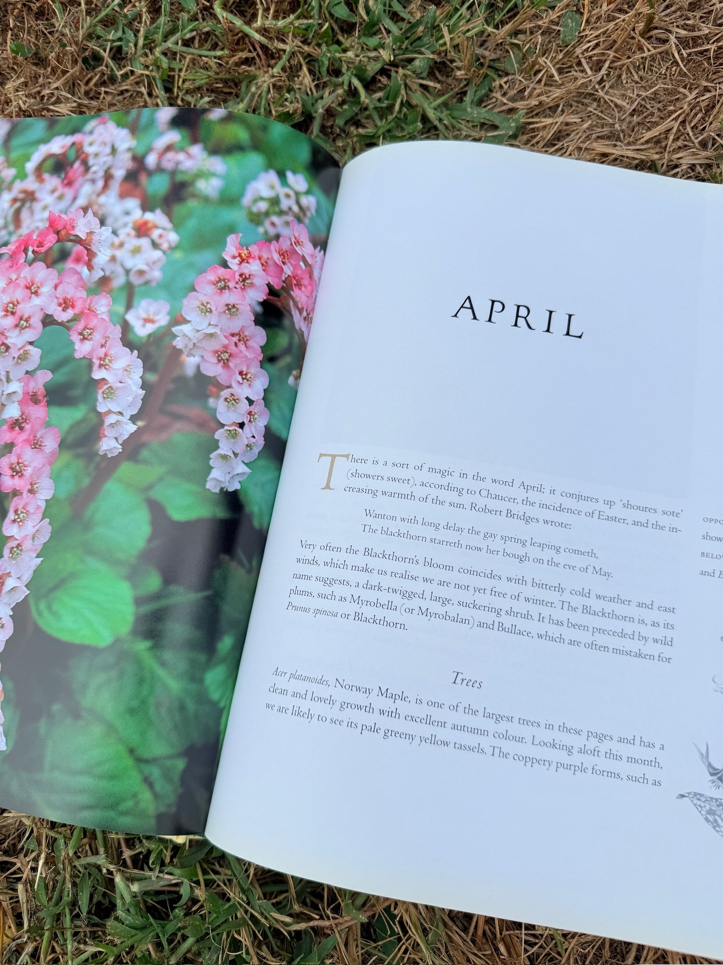 The Garden Through The Year Hardcover Book