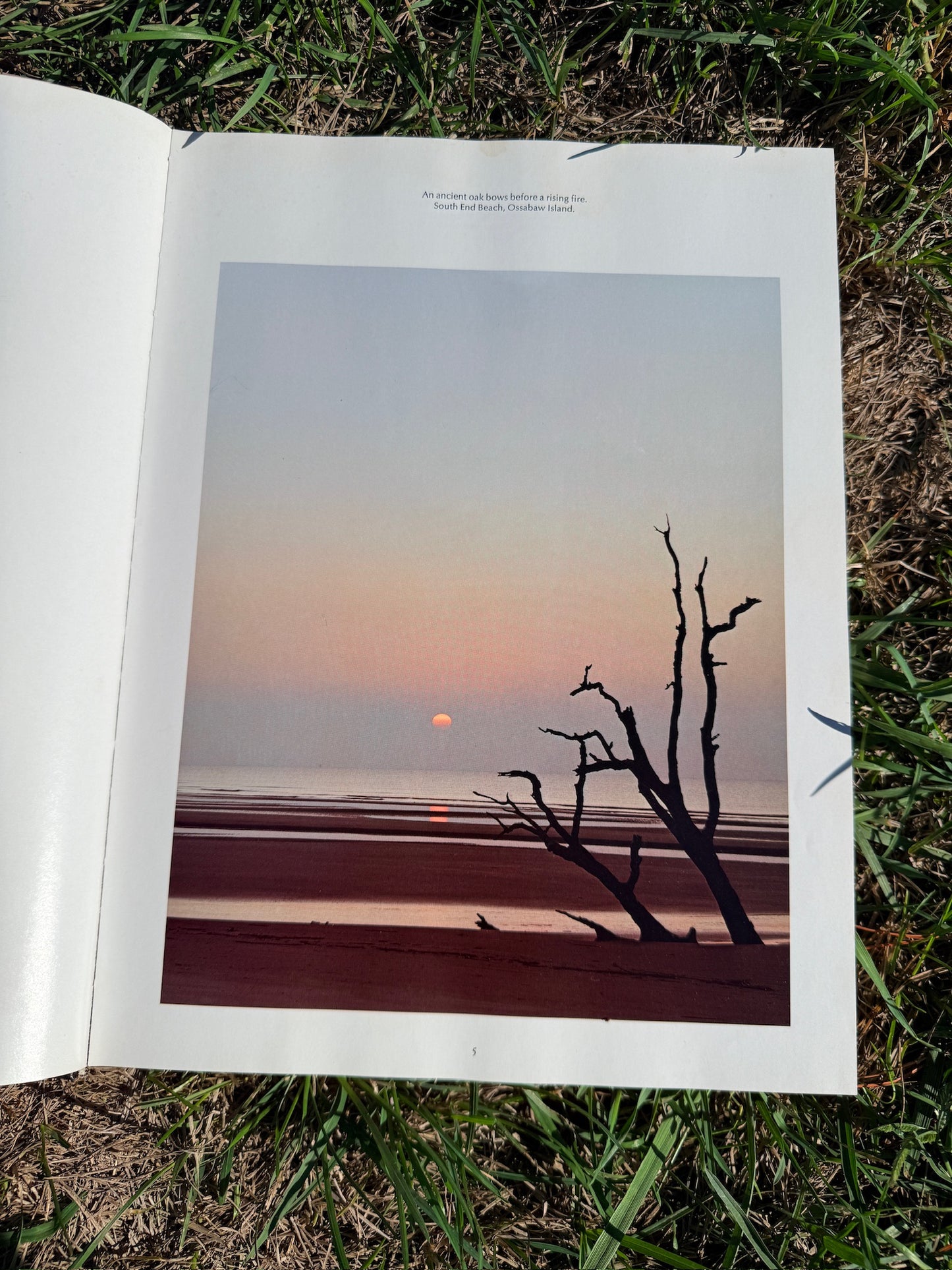 Vintage Georgia Photography Book