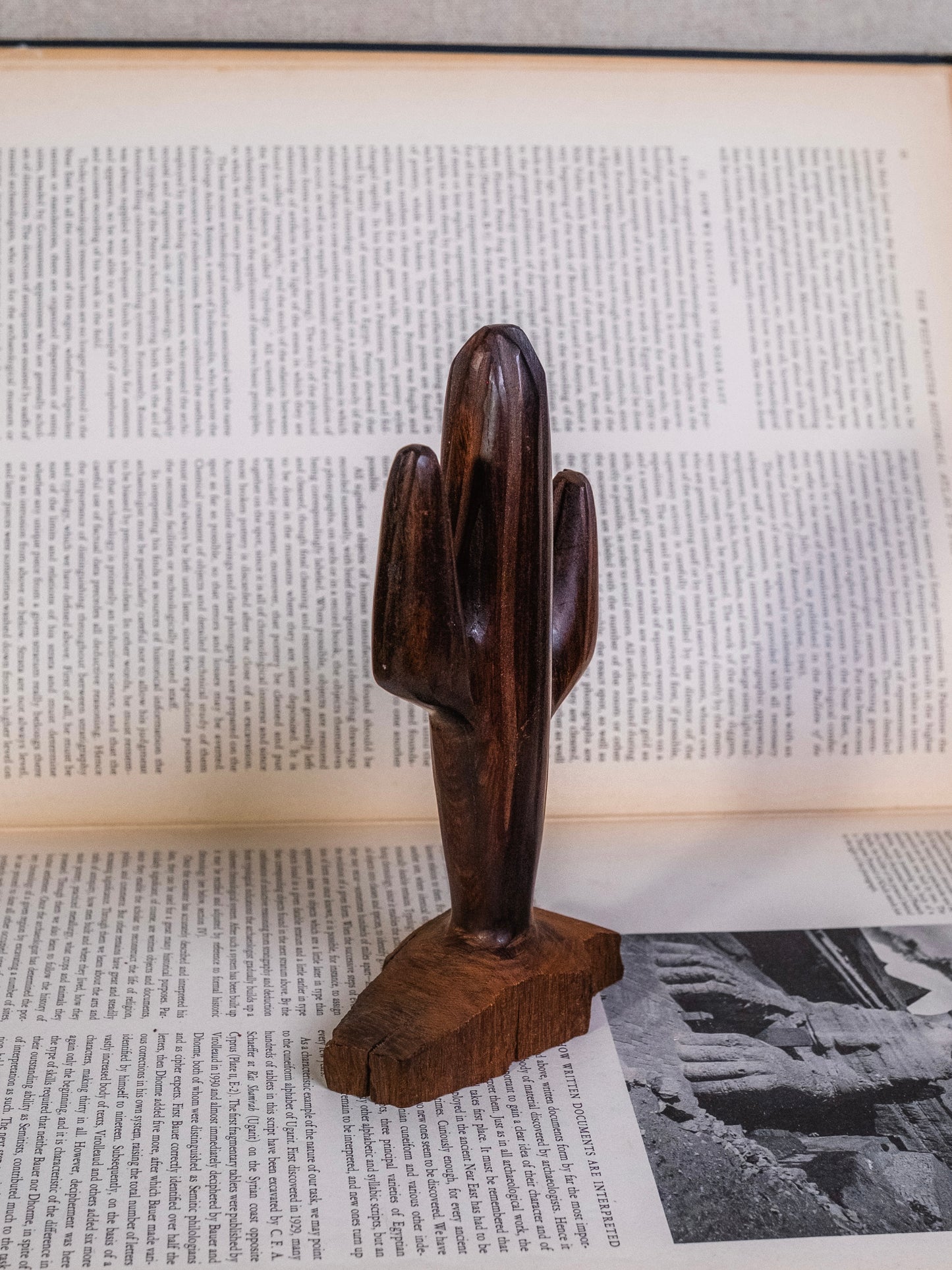 Vintage 1960s Ironwood Hand-Carved Cactus
