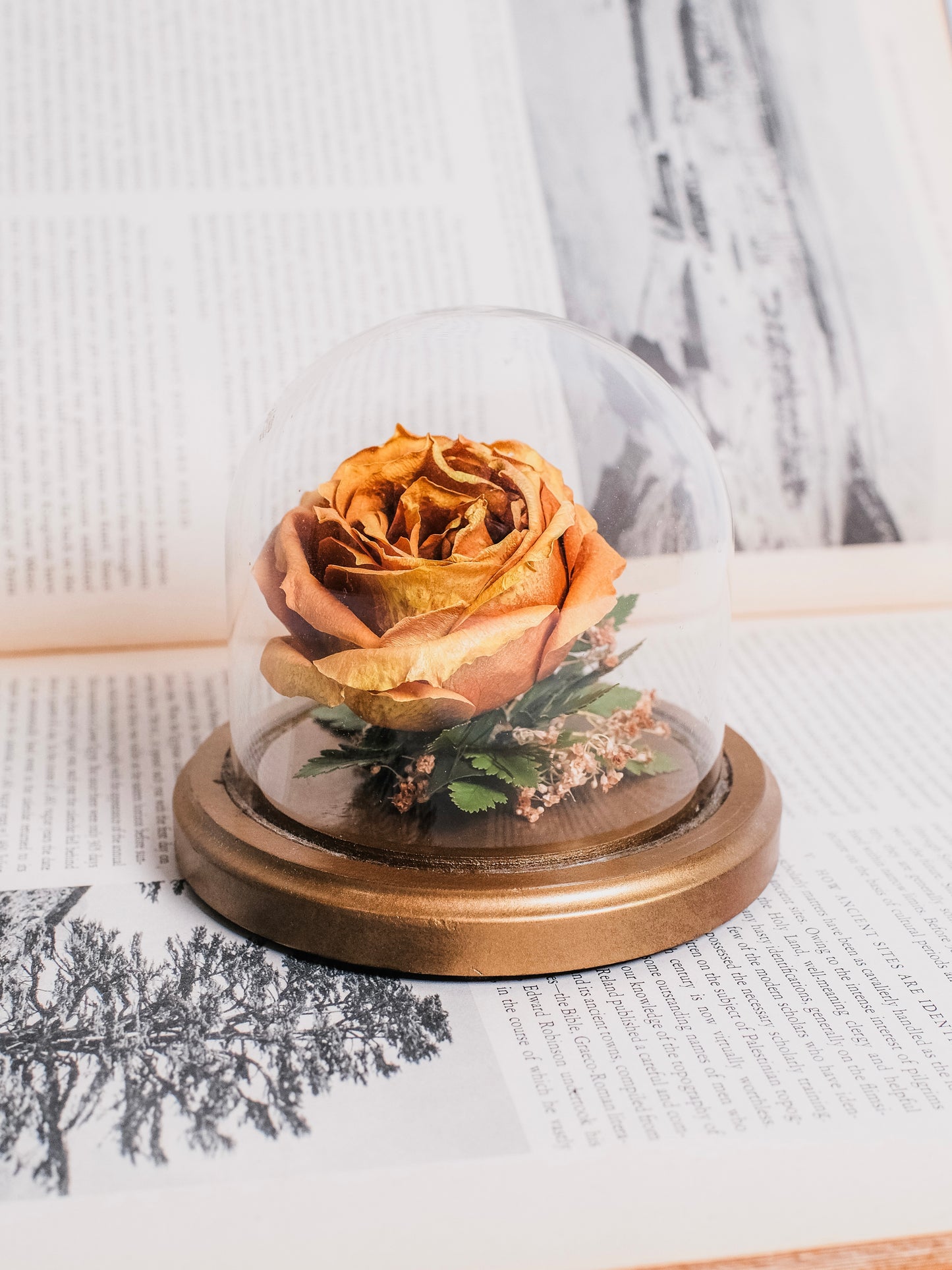 Vintage 1980s Preserved Rose Glass Cloche Display