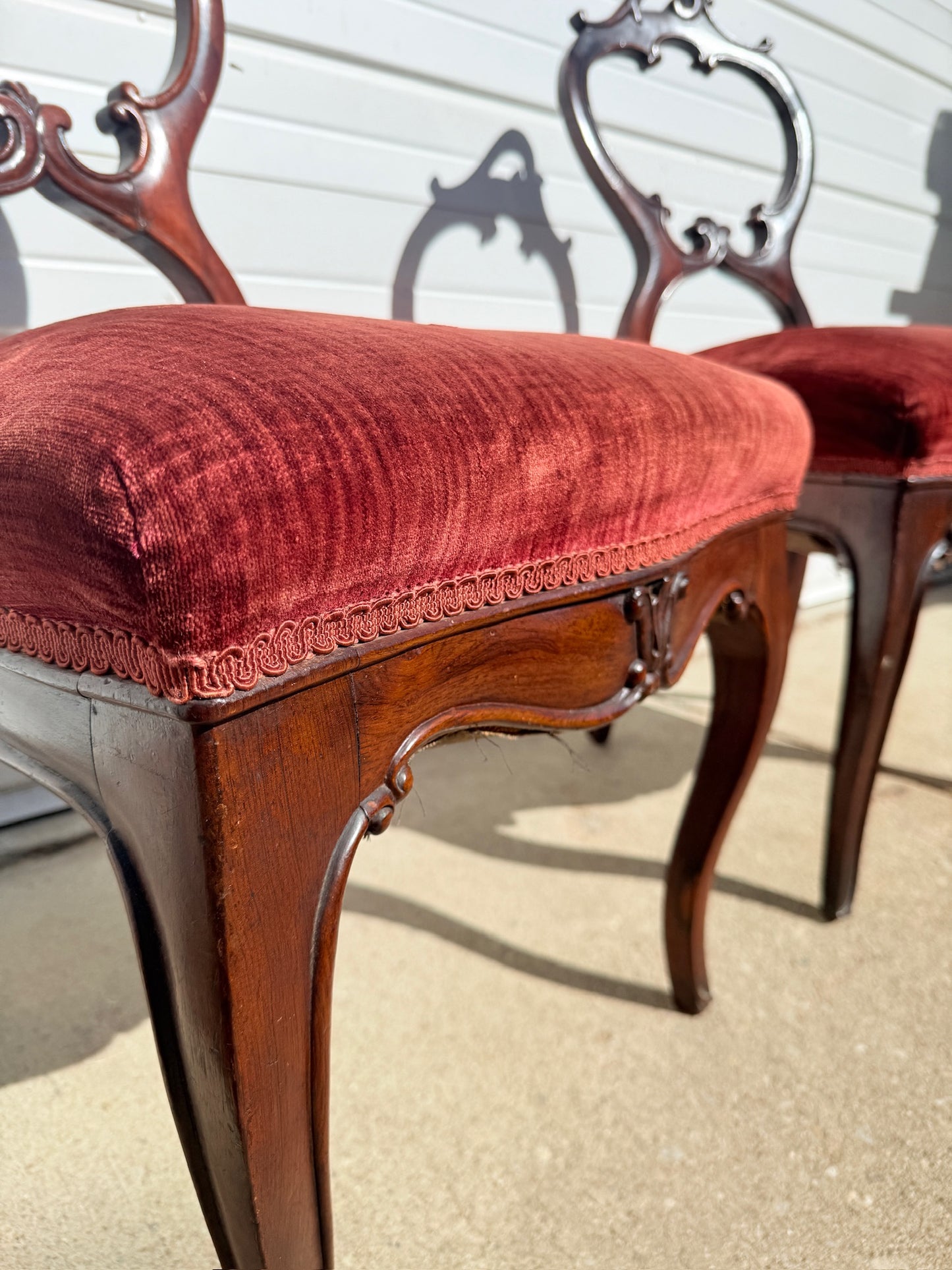 Antique 1900s Red Velvet Carved Rosewood Balloon Back Chairs | Set of 2