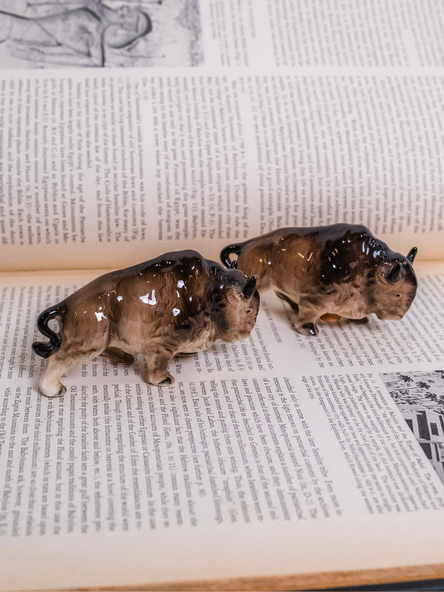 Vintage 1950s Ceramic Bison Salt & Pepper Shaker Set