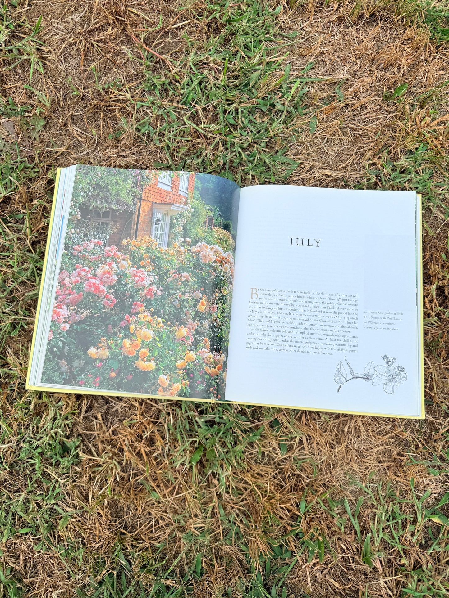 The Garden Through The Year Hardcover Book