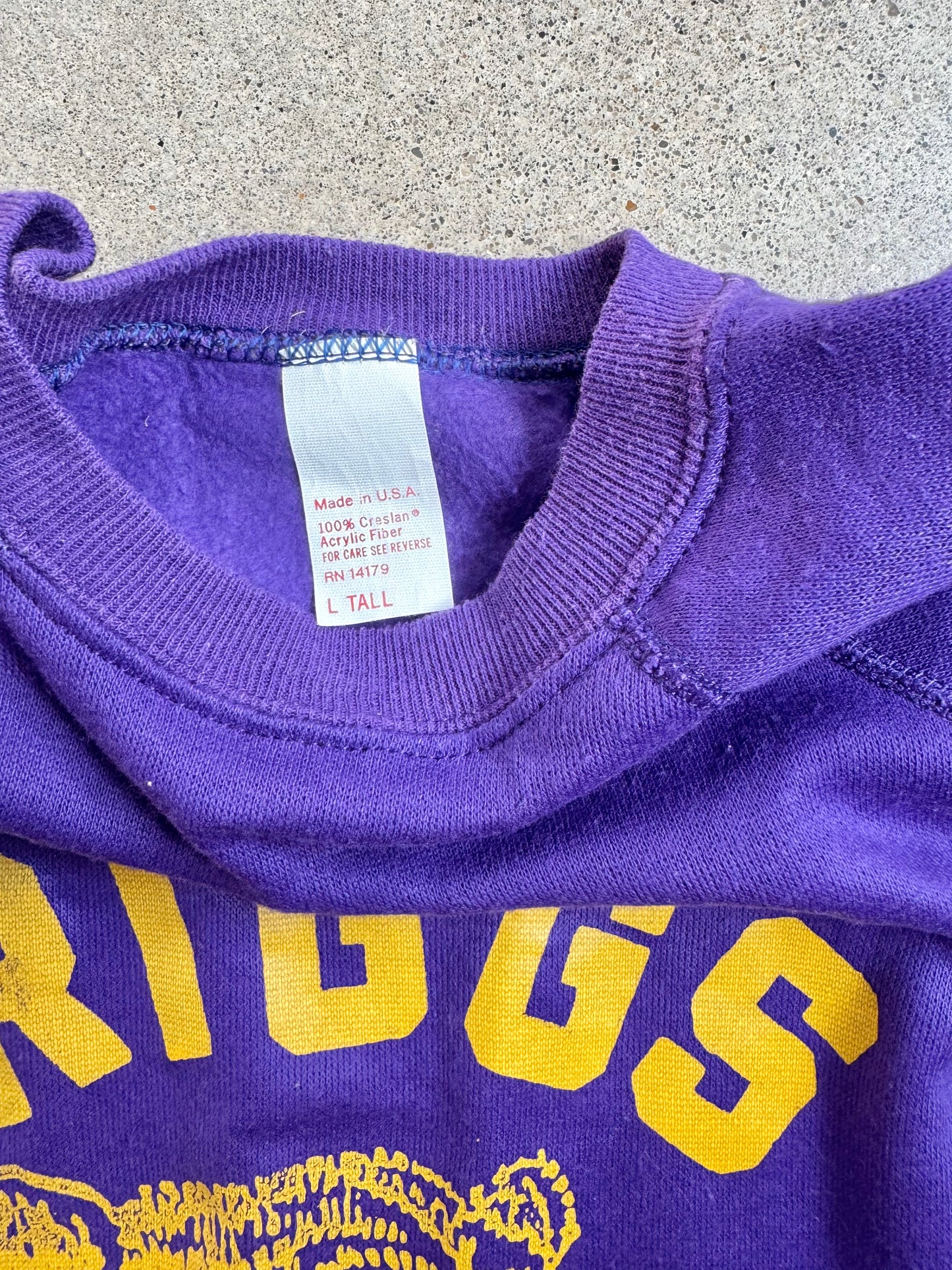 Vintage 1970s Purple & Gold Briggs Bruins Short Sleeve Sweatshirt | Large