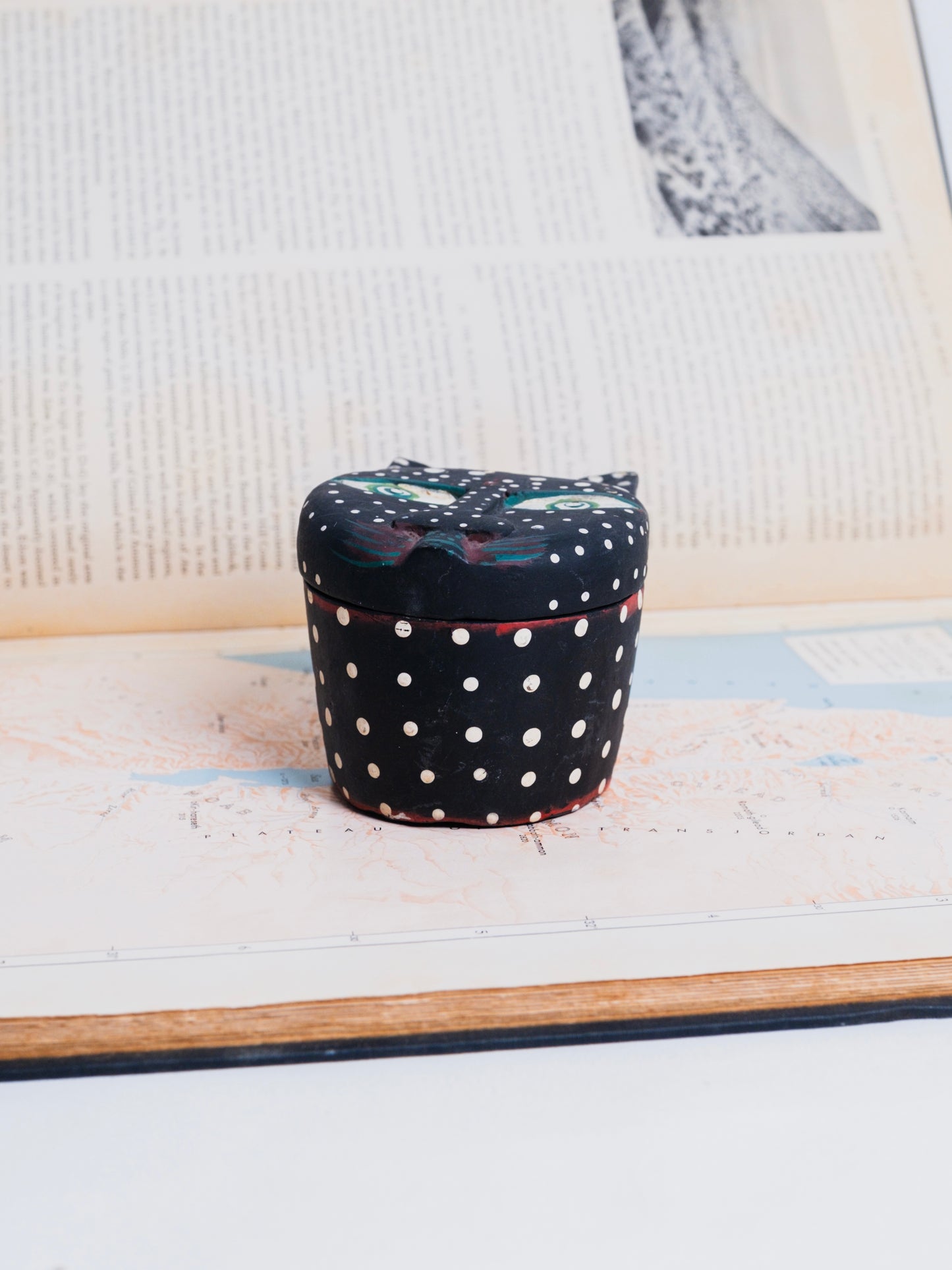 Wood Hand-Carved Painted Folk Art Cat Box