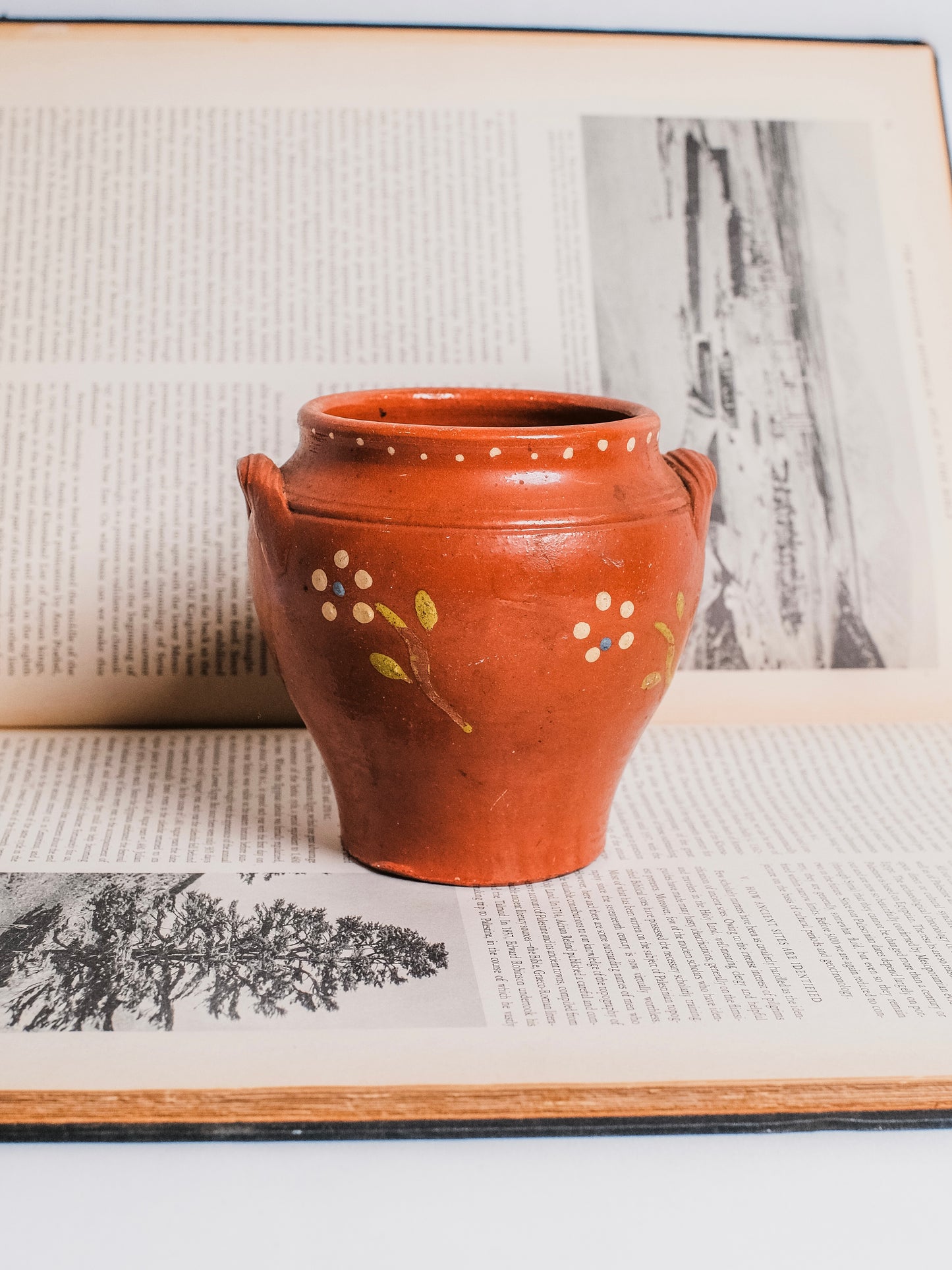 Vintage 1940s Mexican Terracotta Hand-Painted Pottery Vase/Pot