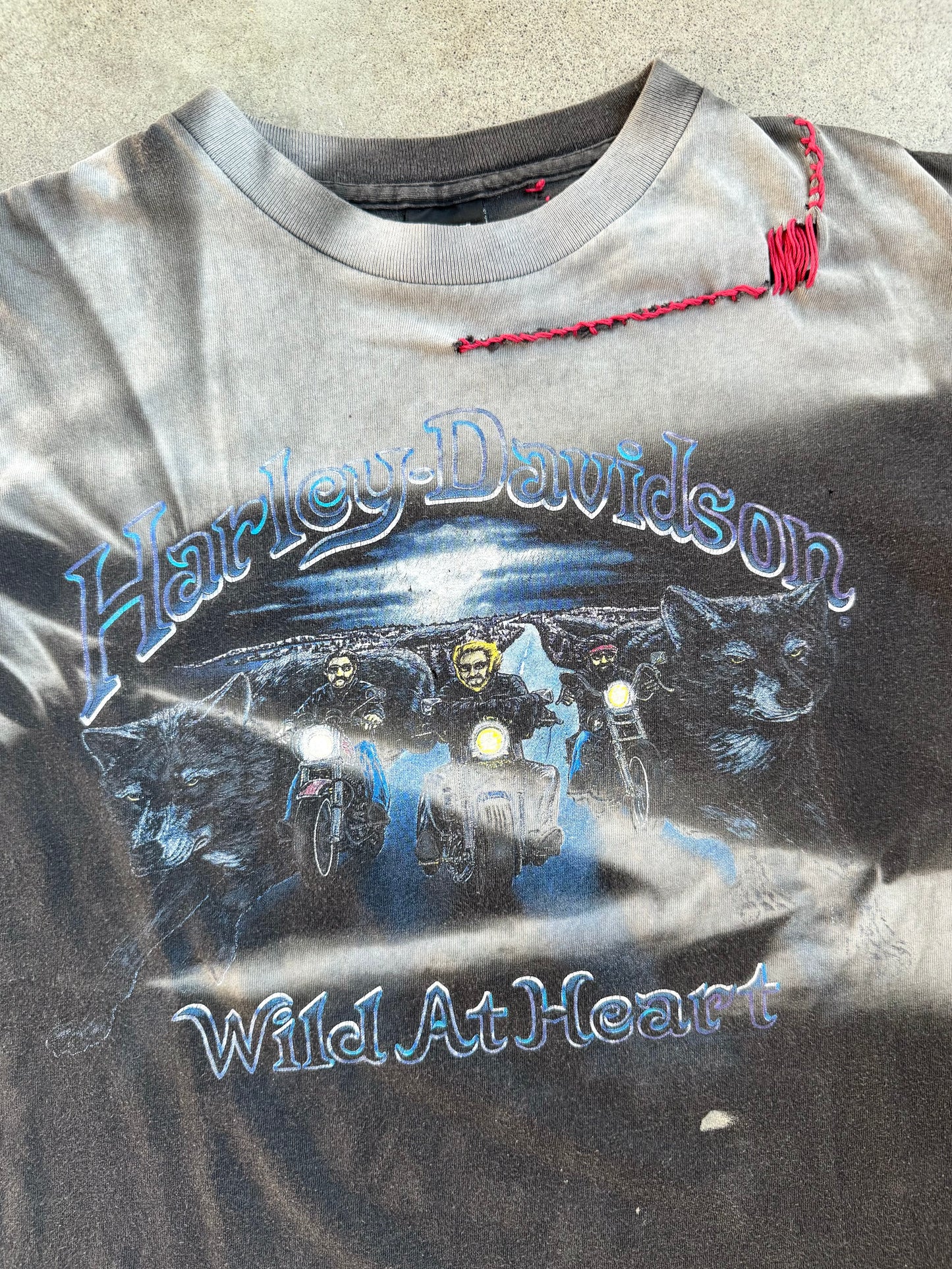 Vintage 1990s Harley Davidson “Wild at Heart” A.D. Farrow Columbus Distressed Graphic Tee | Large