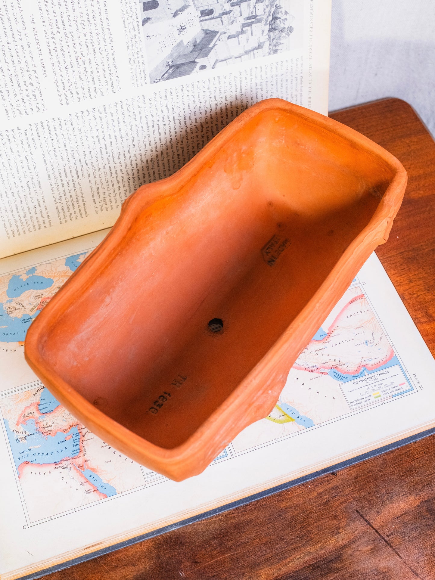 Vintage Italian Terracotta Tree Stump Footed Planter