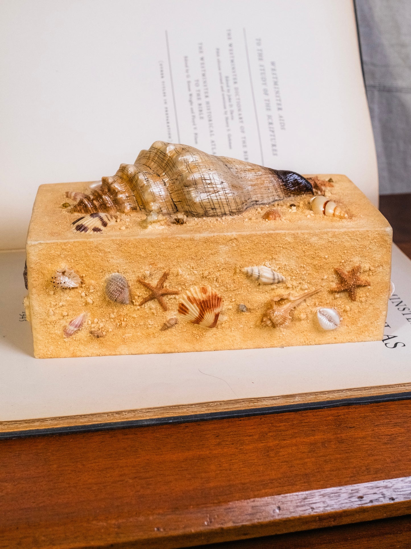 Vintage 1980s Sandy Beach Seashell Tissue Box Cover