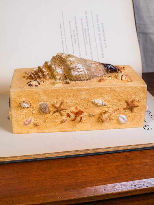 Vintage 1980s Sandy Beach Seashell Tissue Box Cover