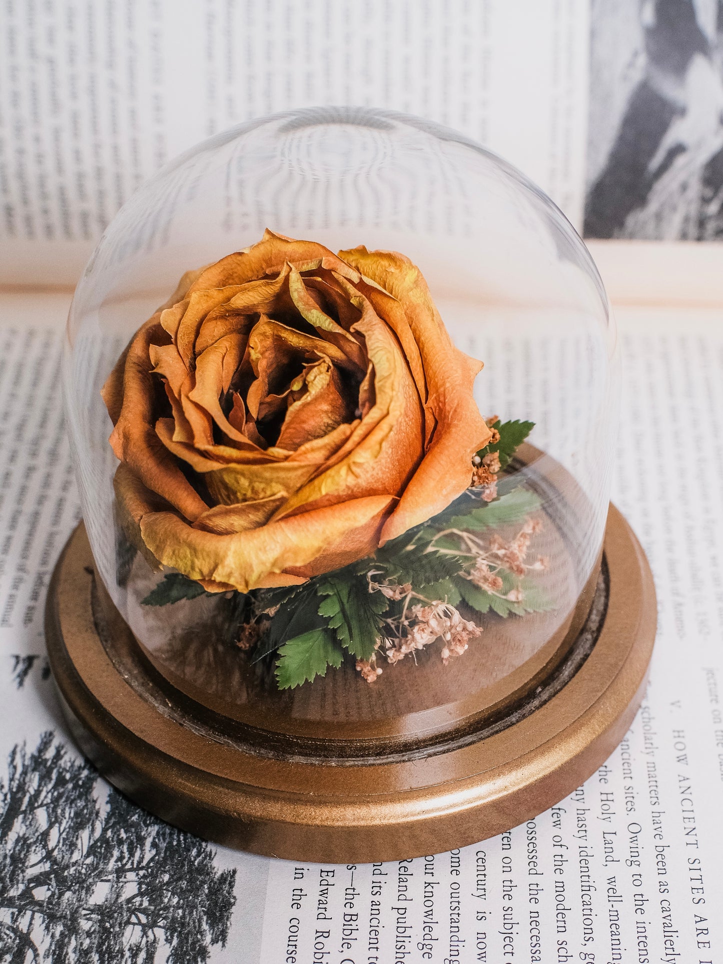 Vintage 1980s Preserved Rose Glass Cloche Display