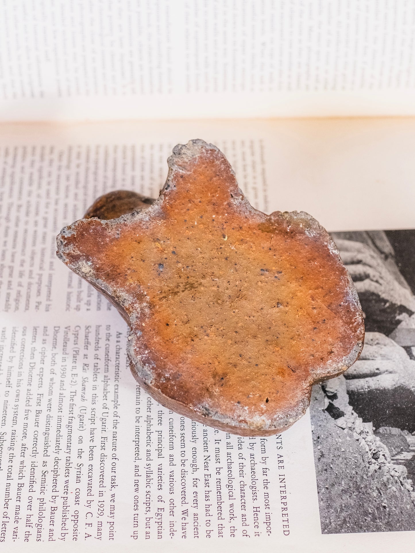 Vintage 1930s Folk Art Sewer Tile Stoneware Frog Figurine