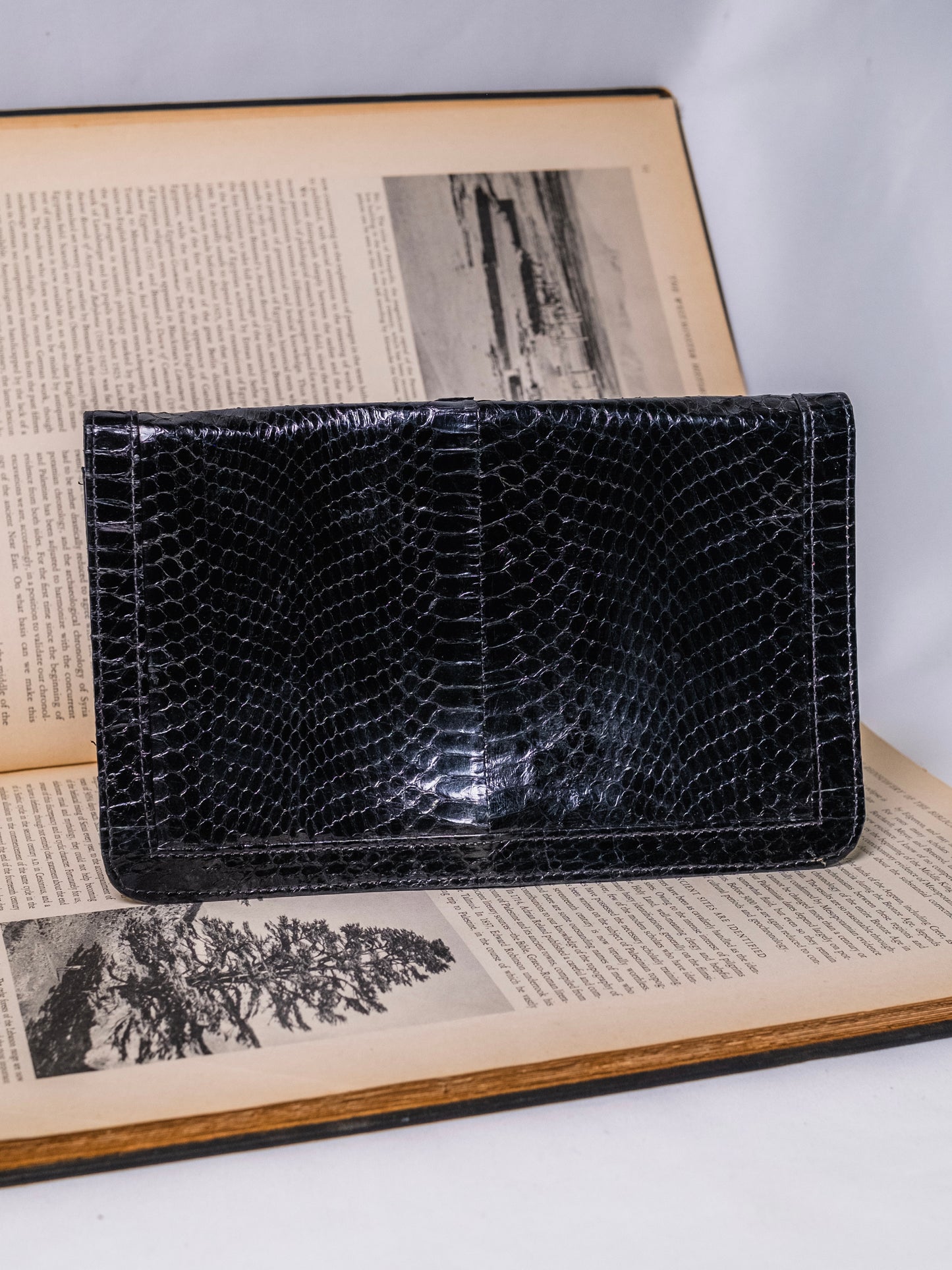Vintage 1950s Black Snakeskin Clutch