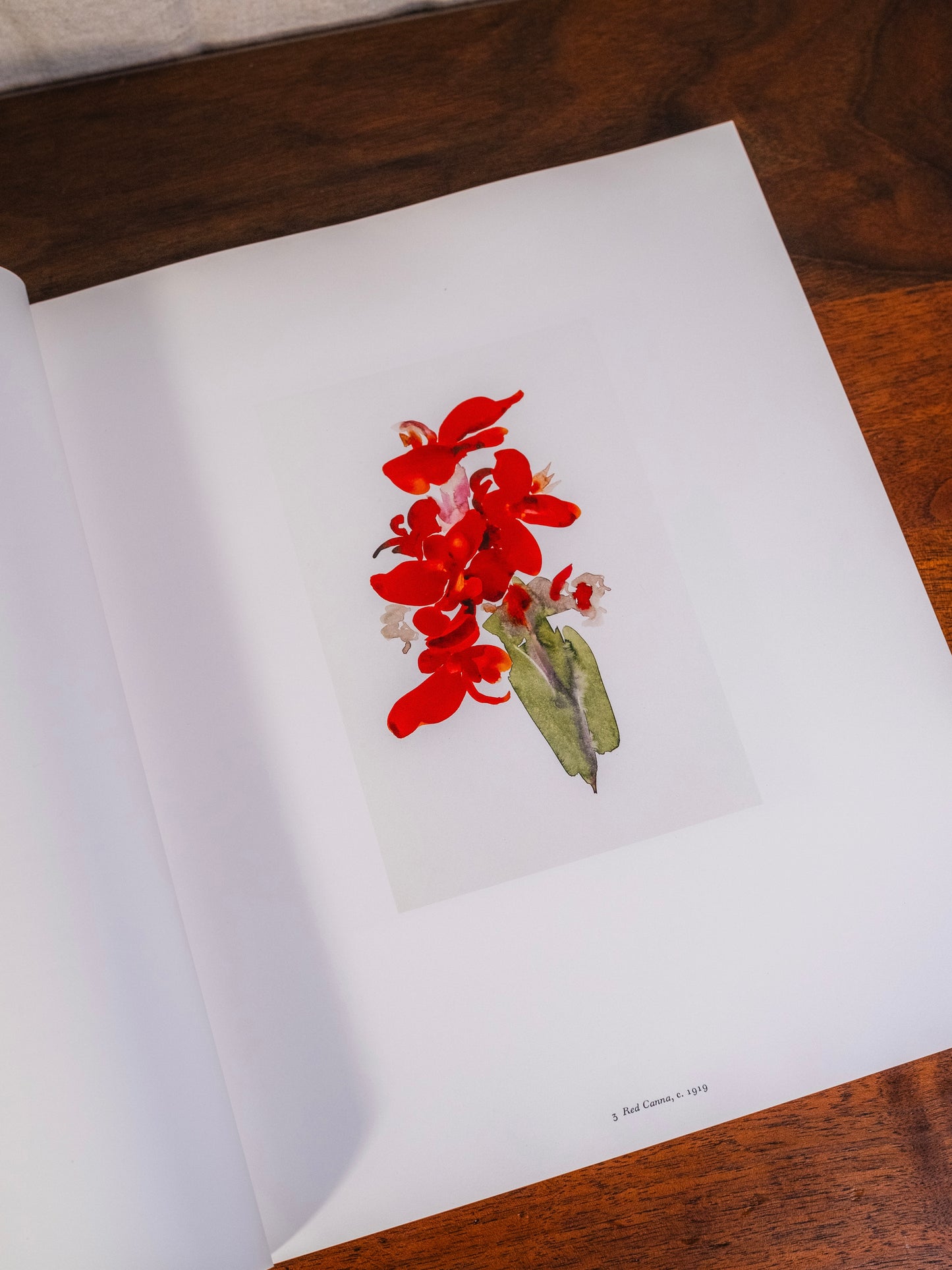 Georgia O'Keeffe: One Hundred Flowers Book