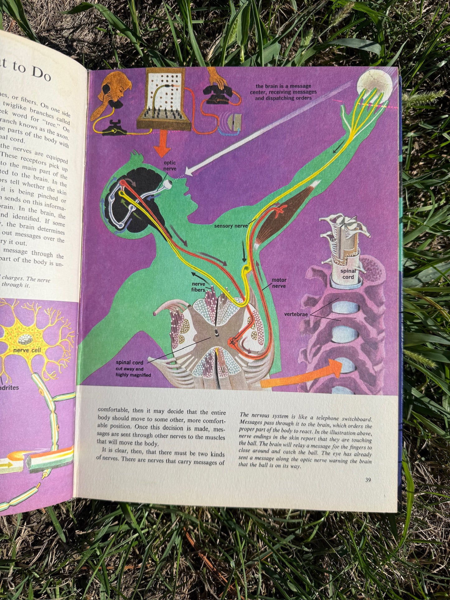Vintage 1970s The Human Body Textbook