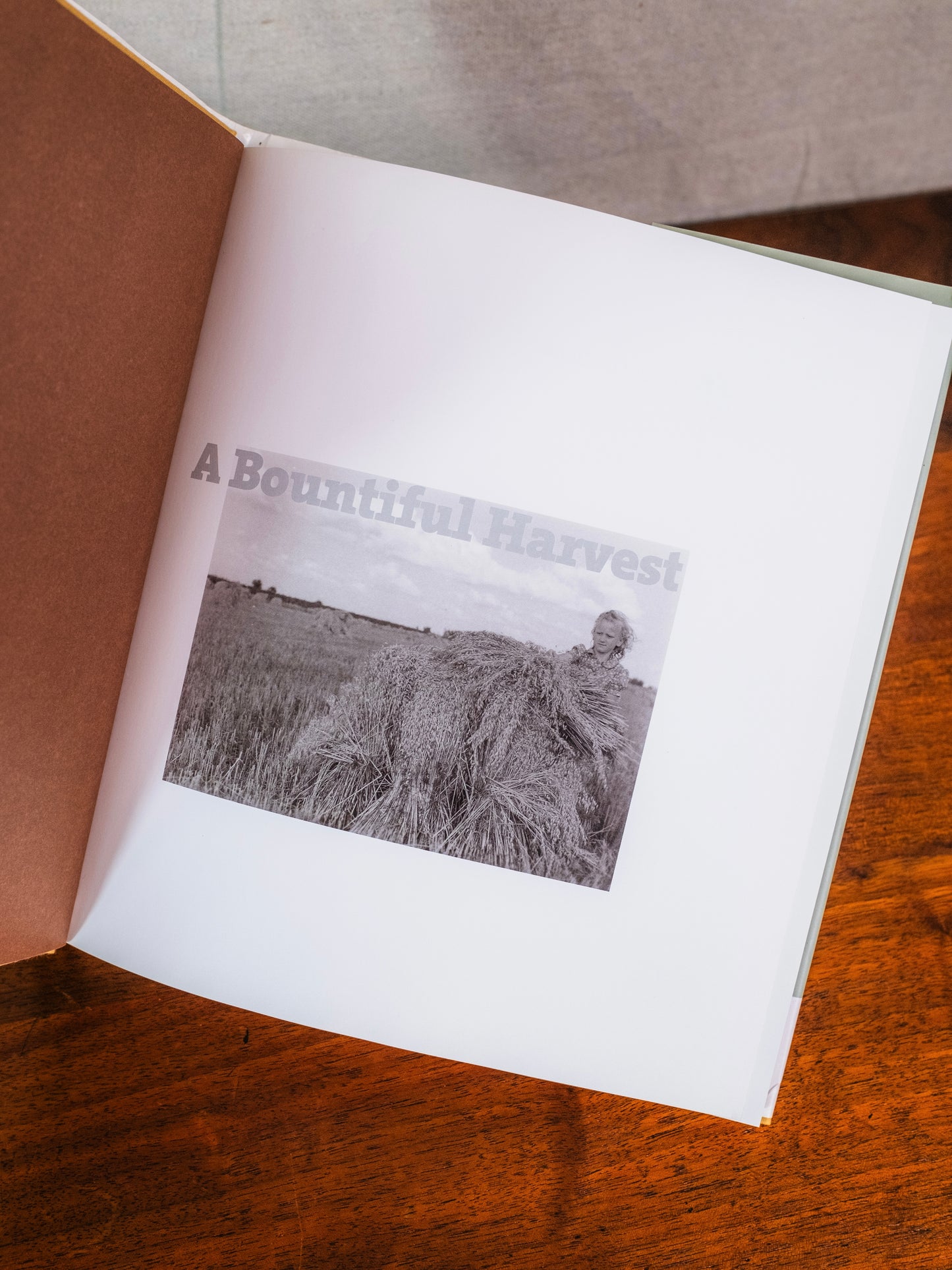 A Bountiful Harvest Book