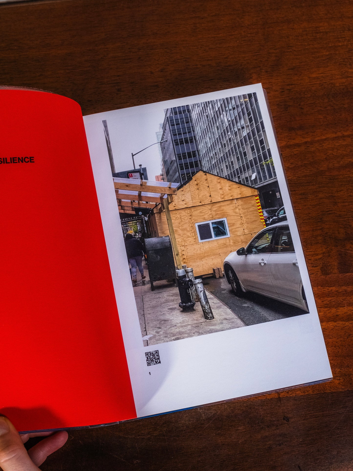 Al Fresco: Resilience in New York City Book