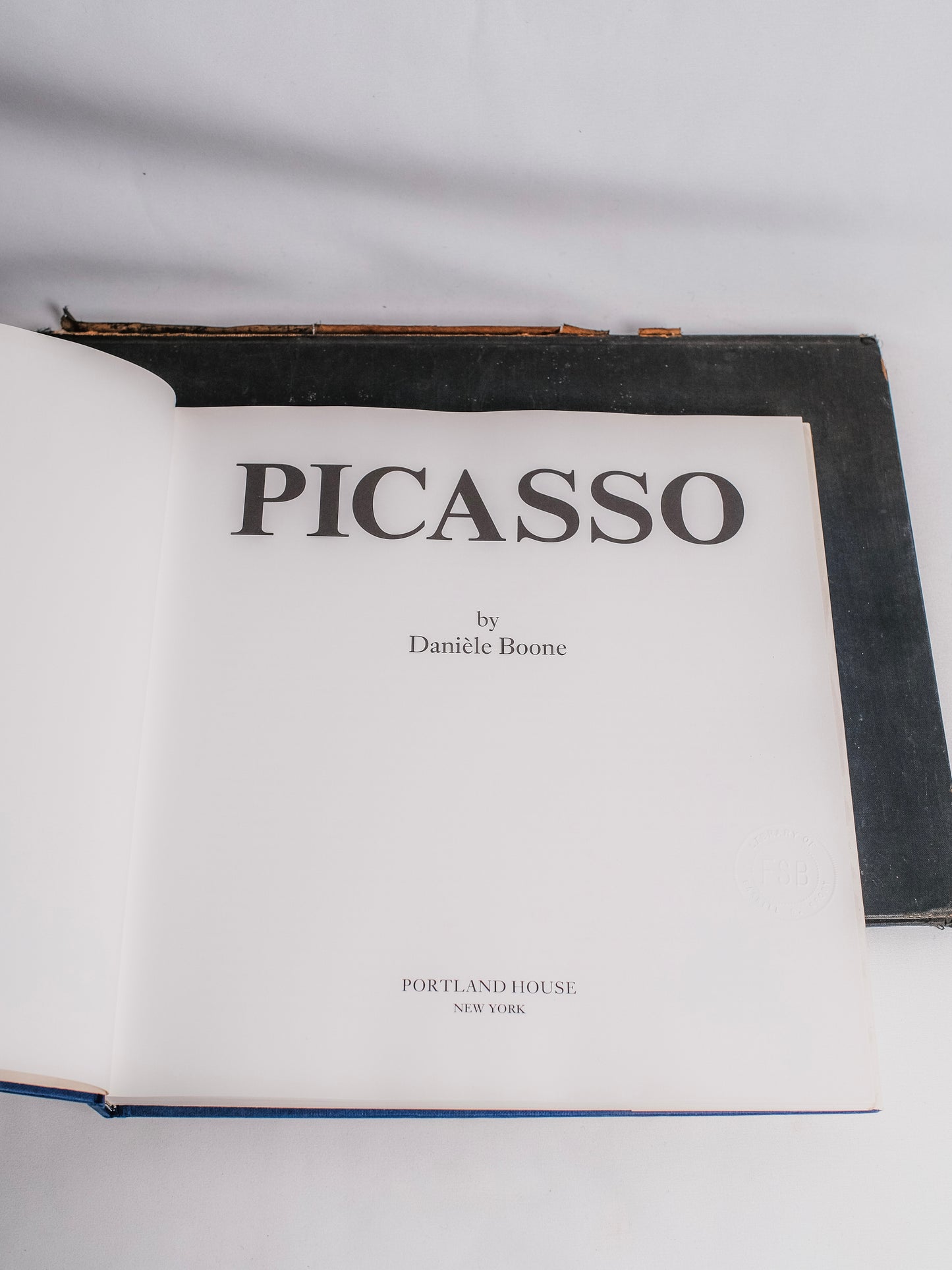 Picasso Book