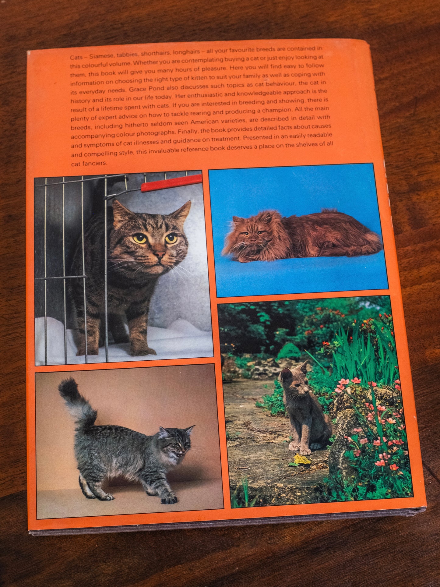 Purnell’s Pictorial Encyclopedia of Cats Book