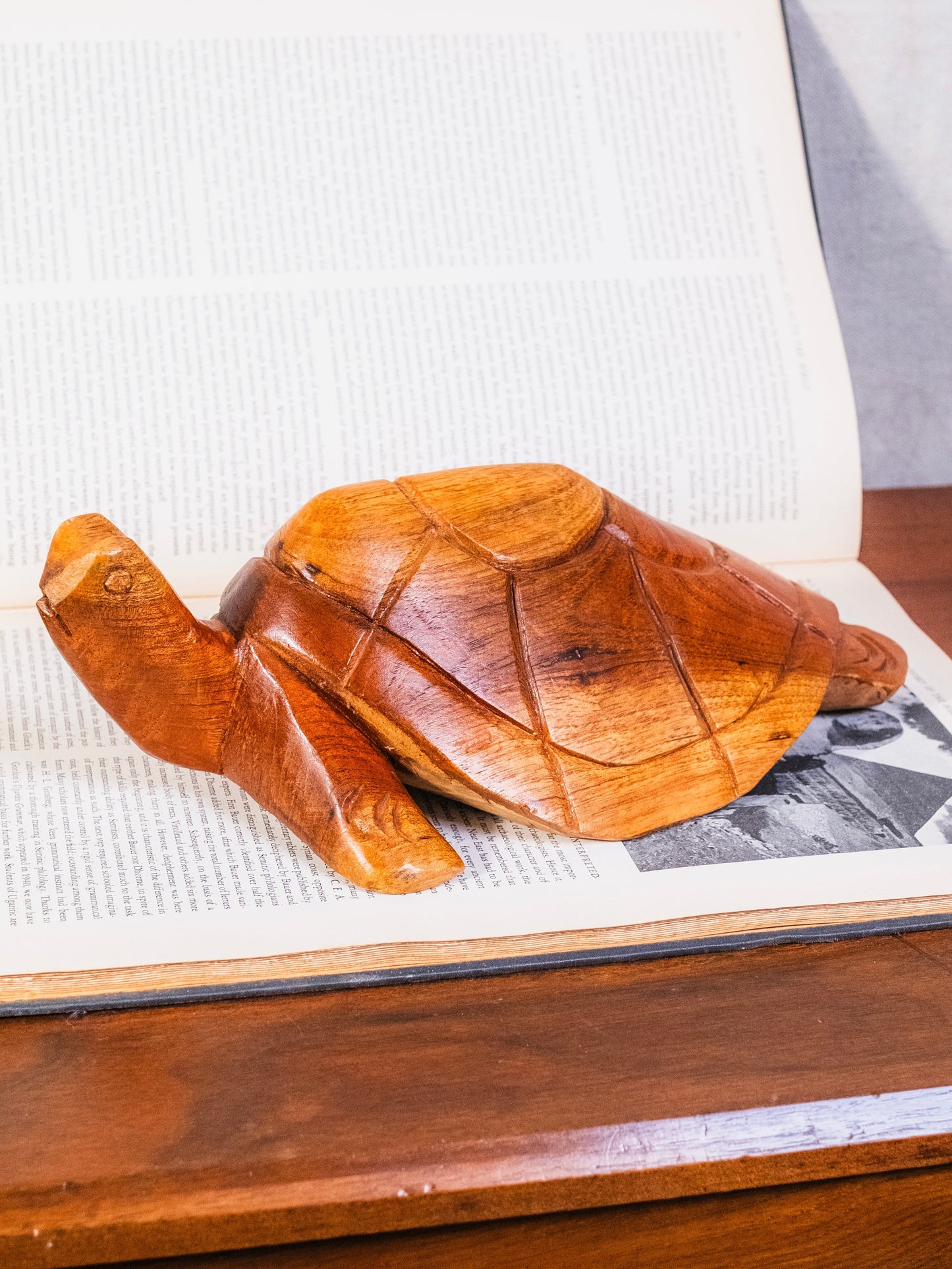 Vintage 1960s Wood Carved Turtle