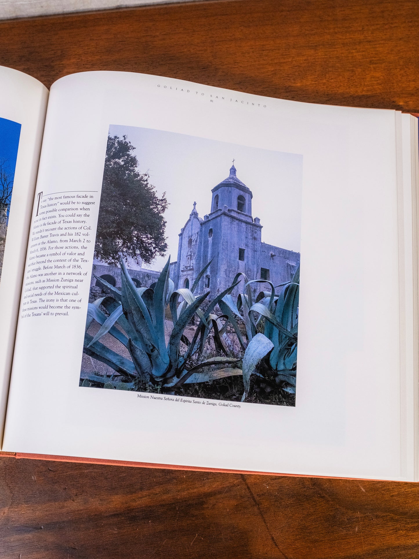 Deep in the Heart of Texas Book