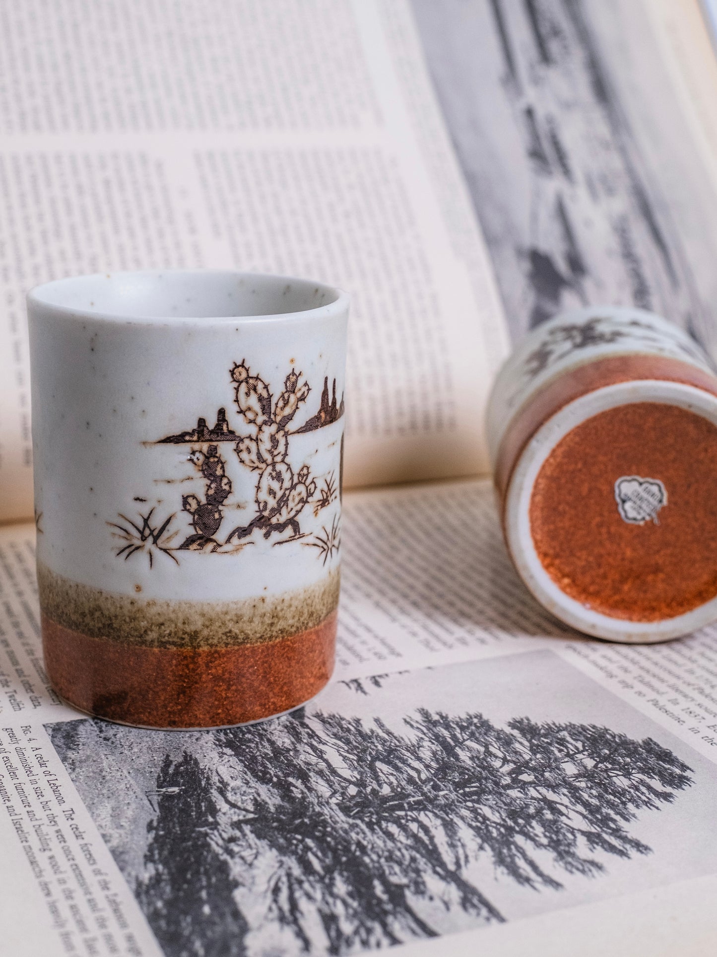 Vintage 1970s Otagiri Ceramic Pottery "Western Cactus" Mugs | Set of 2