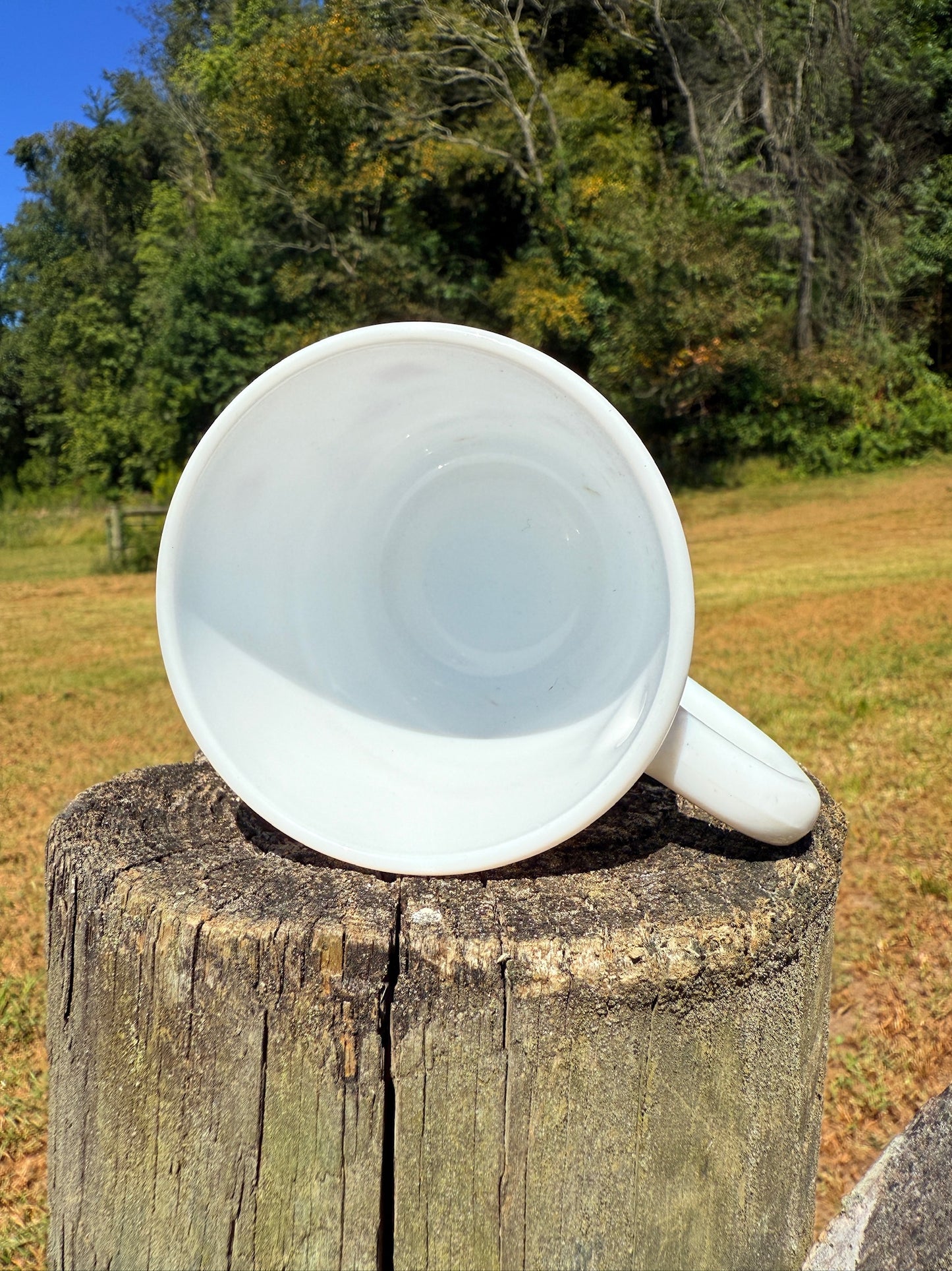 Vintage 1970s Milk Glass Rose Mug