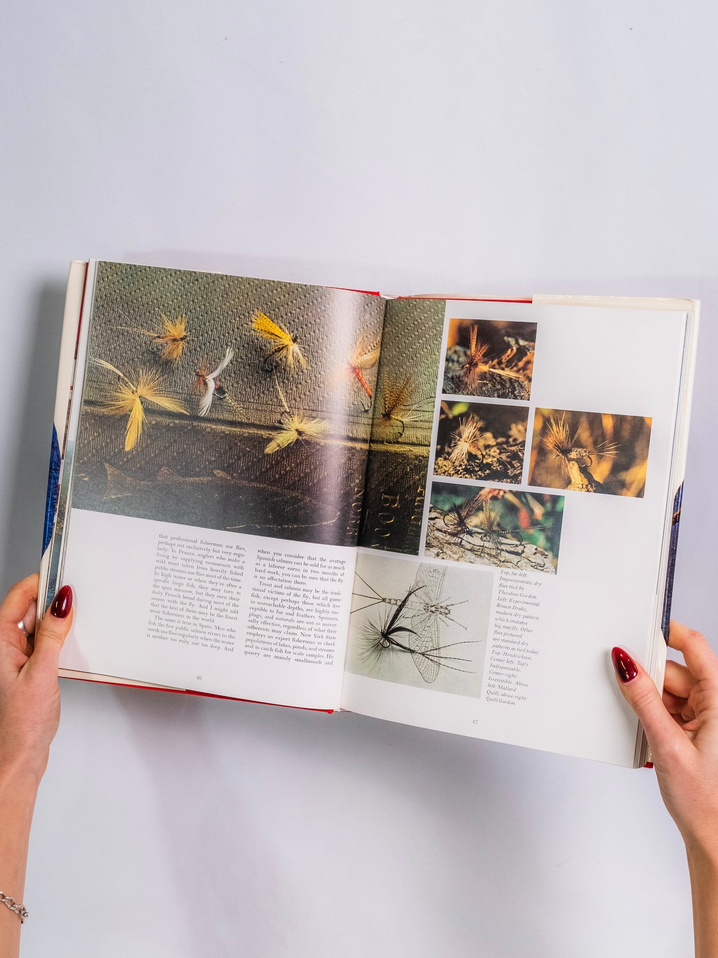 The American Sportsman Treasury Book