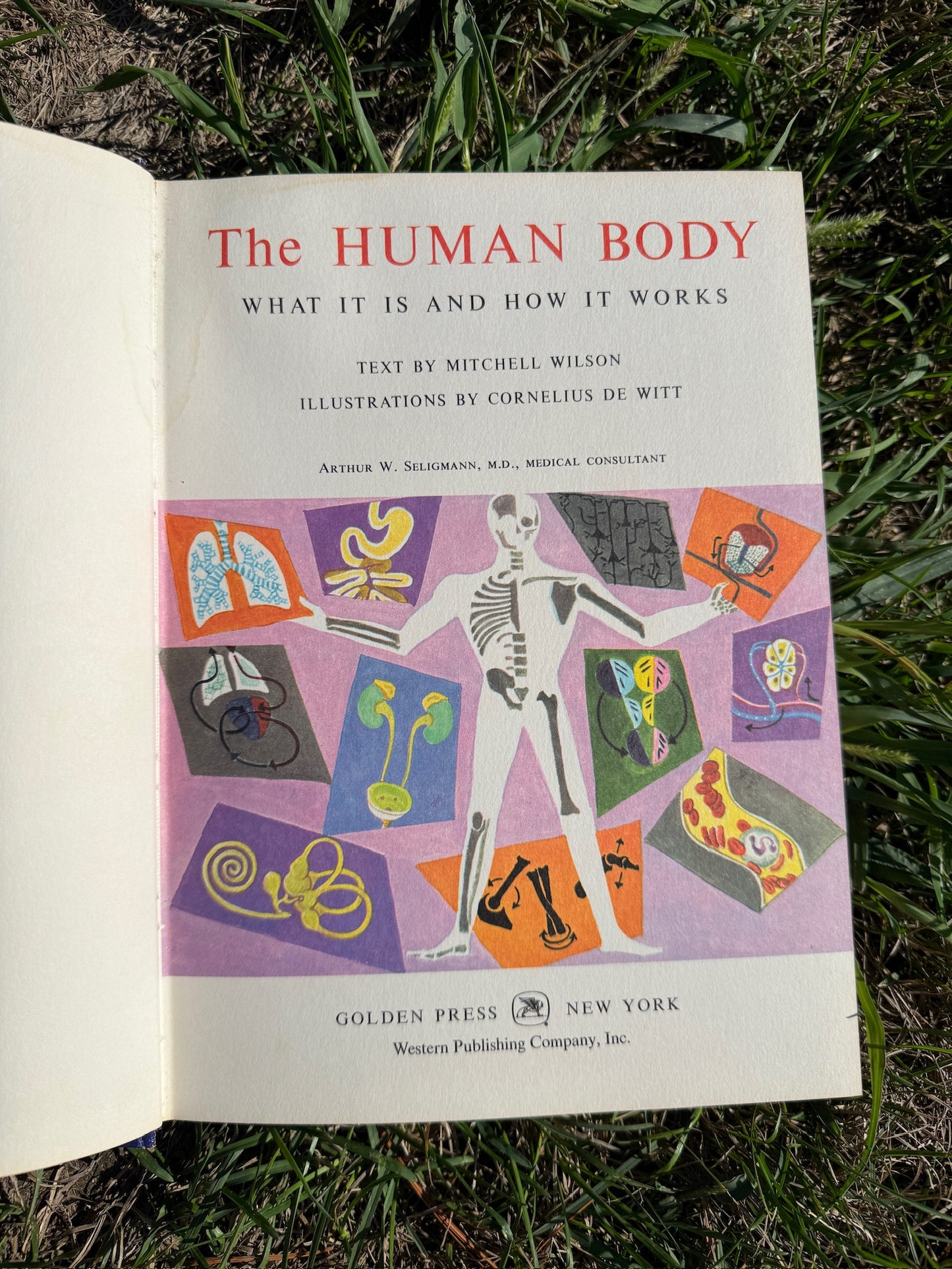 Vintage 1970s The Human Body Textbook