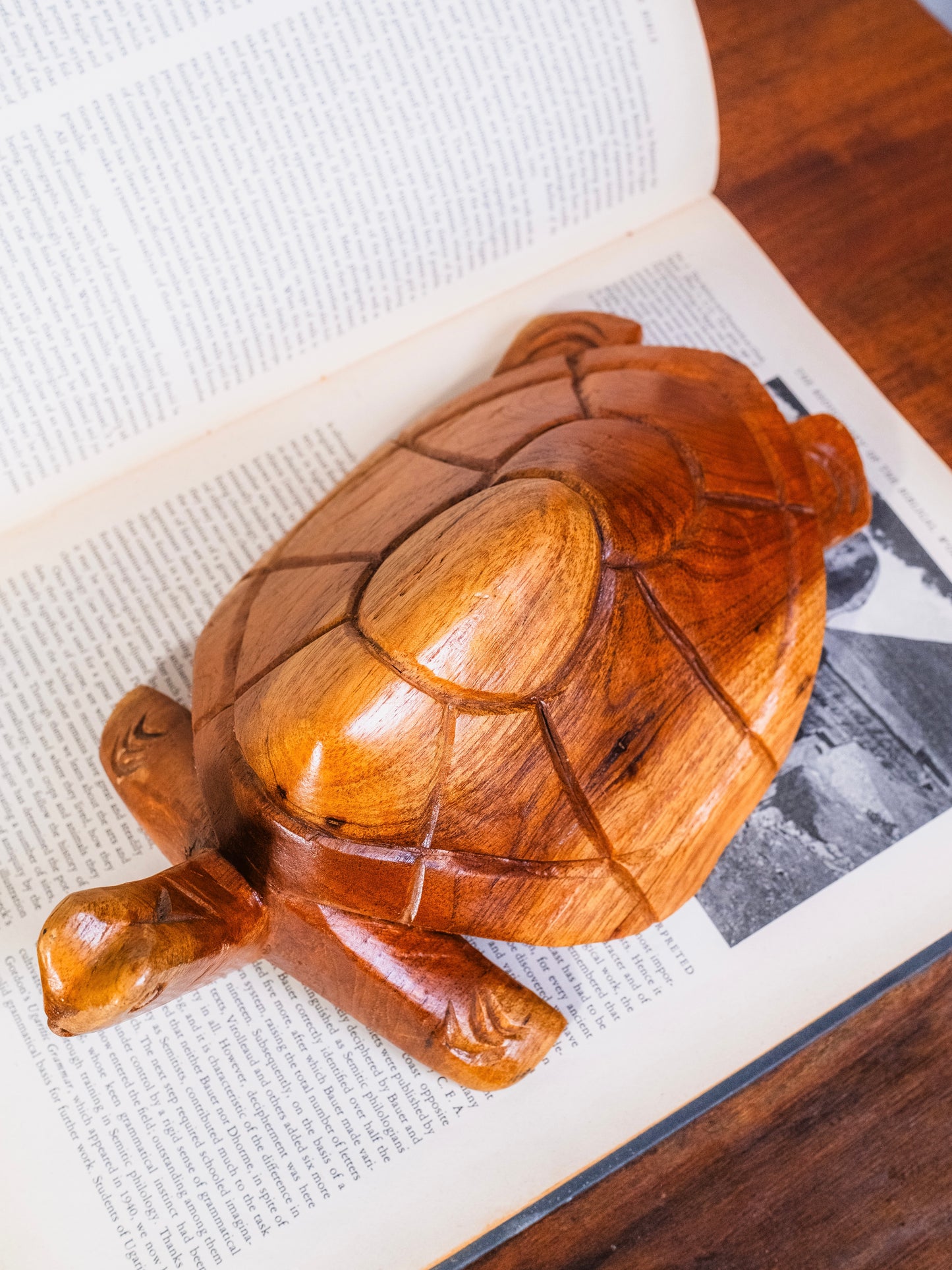 Vintage 1960s Wood Carved Turtle