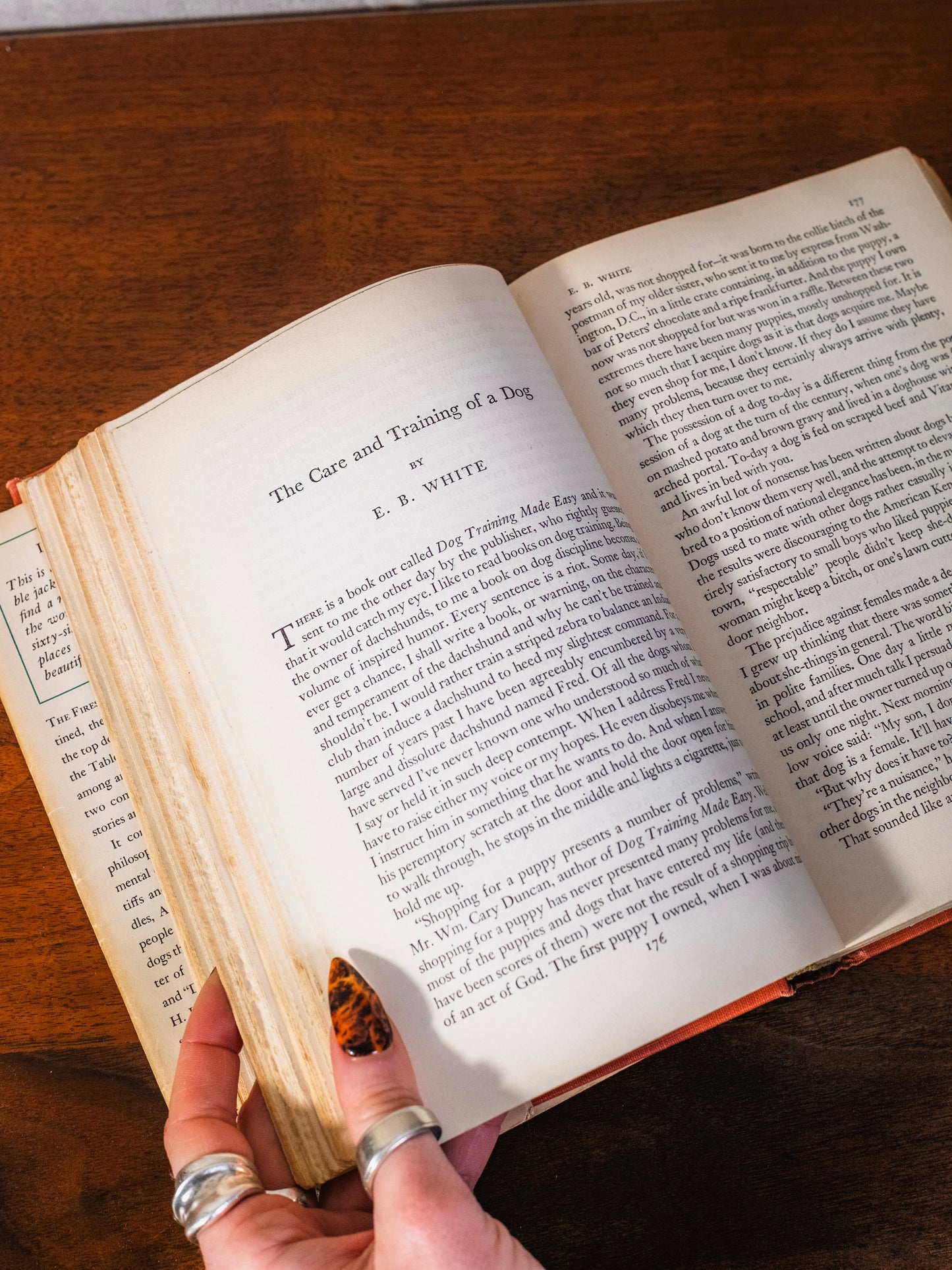 Vintage 1943 The Fireside Book of Dog Stories