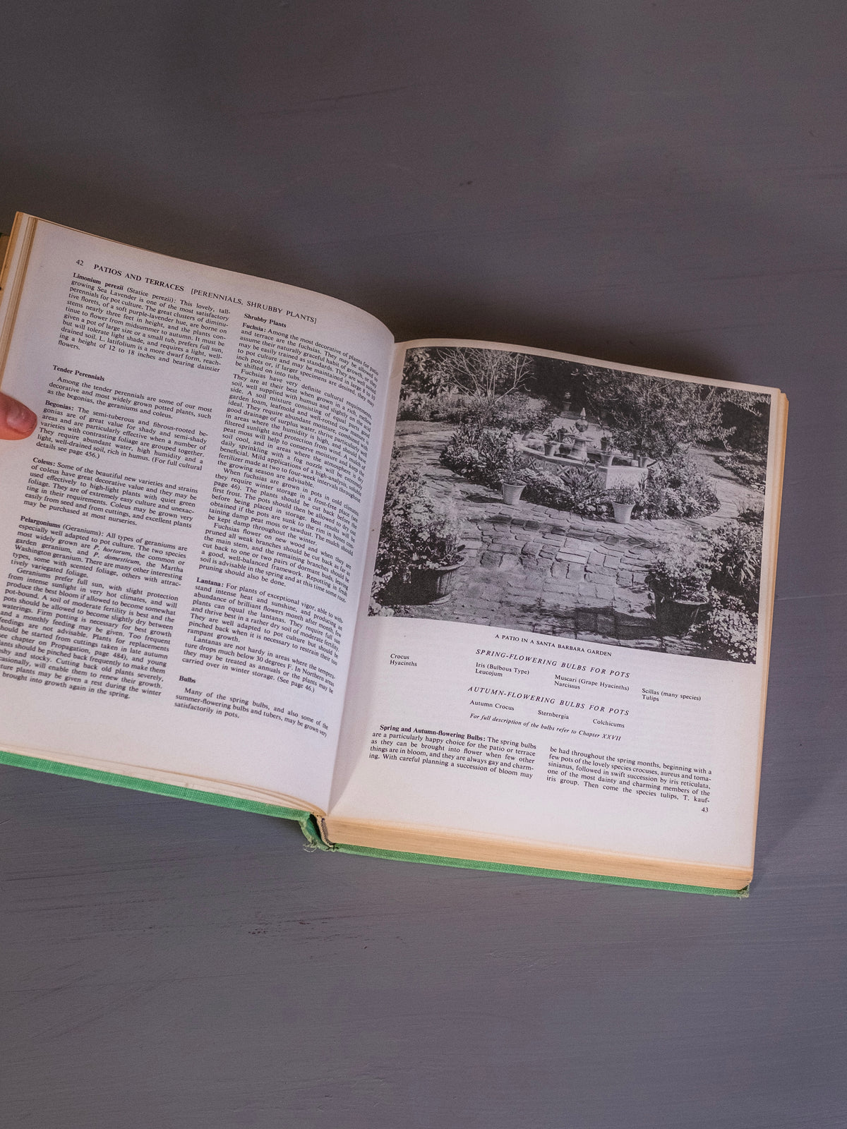 America’s Garden Book | Revised Edition