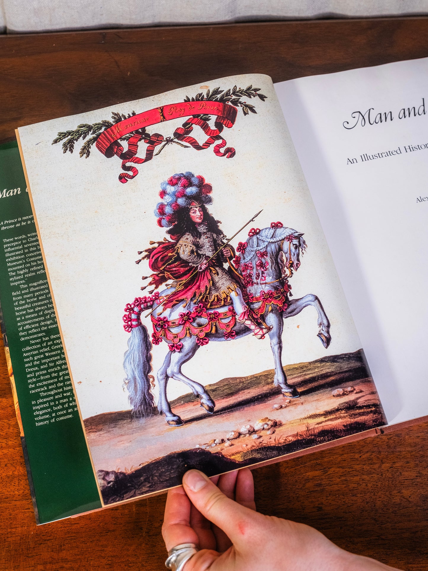 Metropolitan Museum of Art Man & The Horse Book