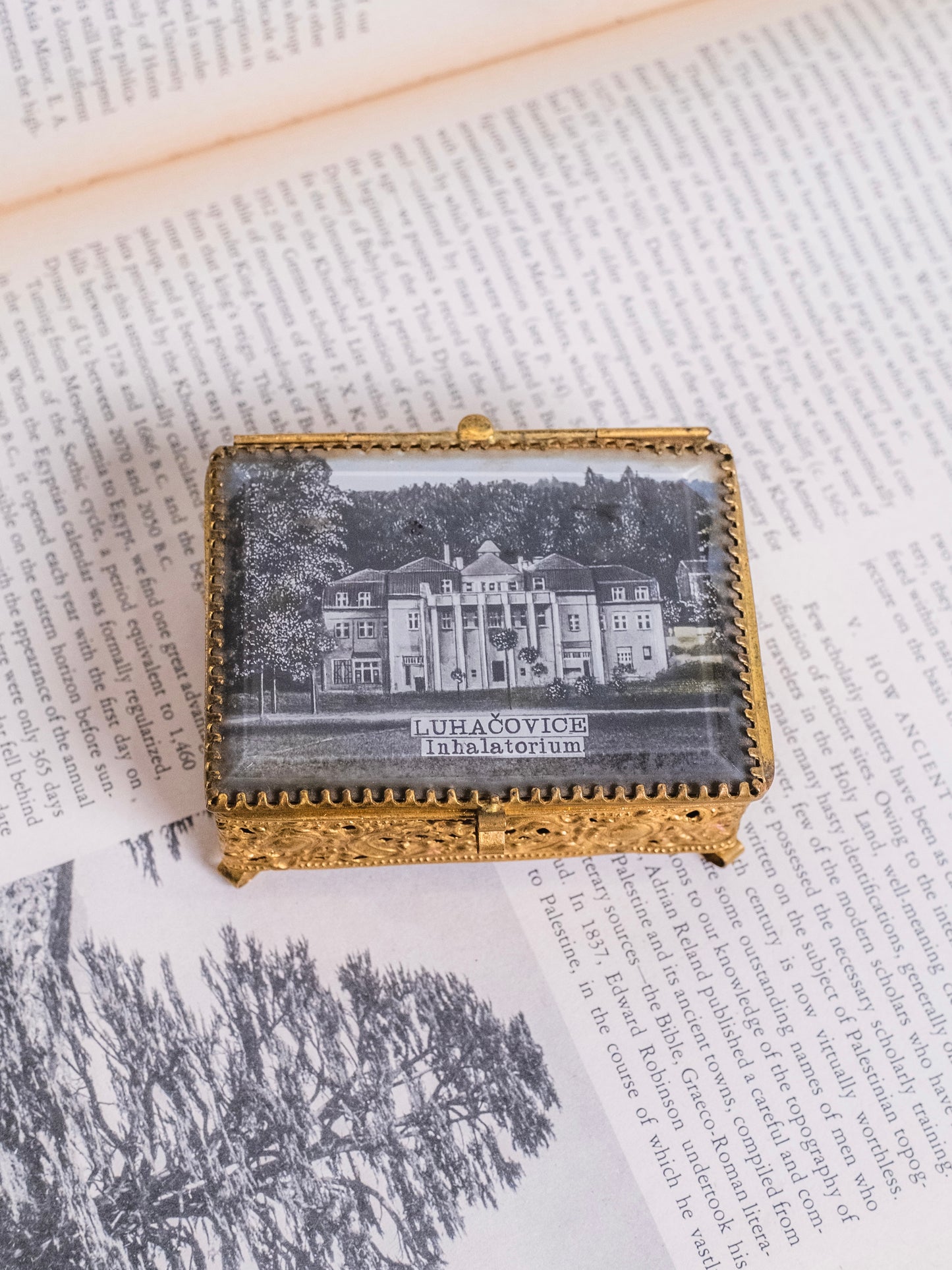 Vintage 1960s Gold Filigree & Glass “Luhačovice” Trinket Box