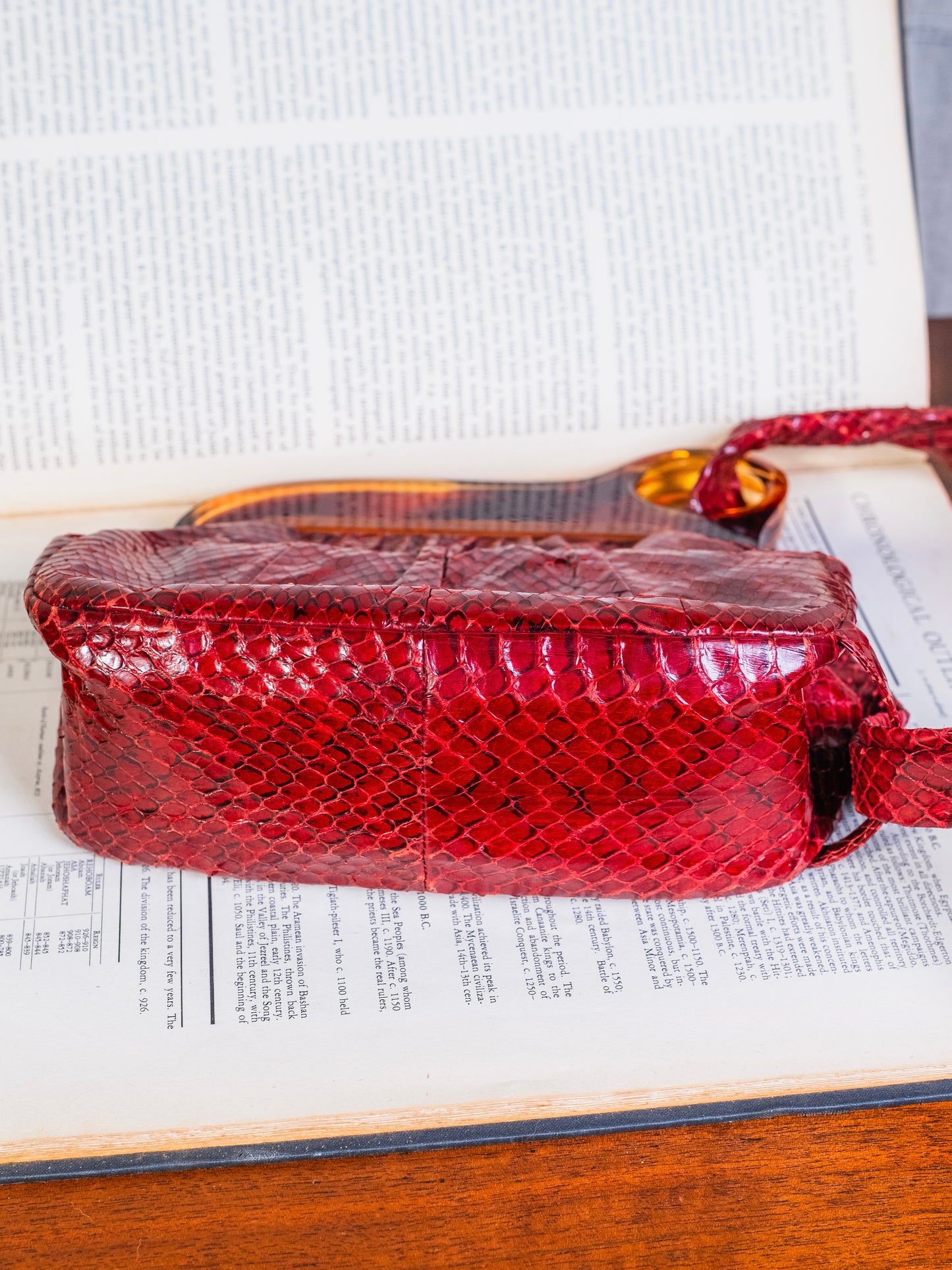 Vintage 1940s Deitsch Red Genuine Snakeskin & Bakelite Handle Bag