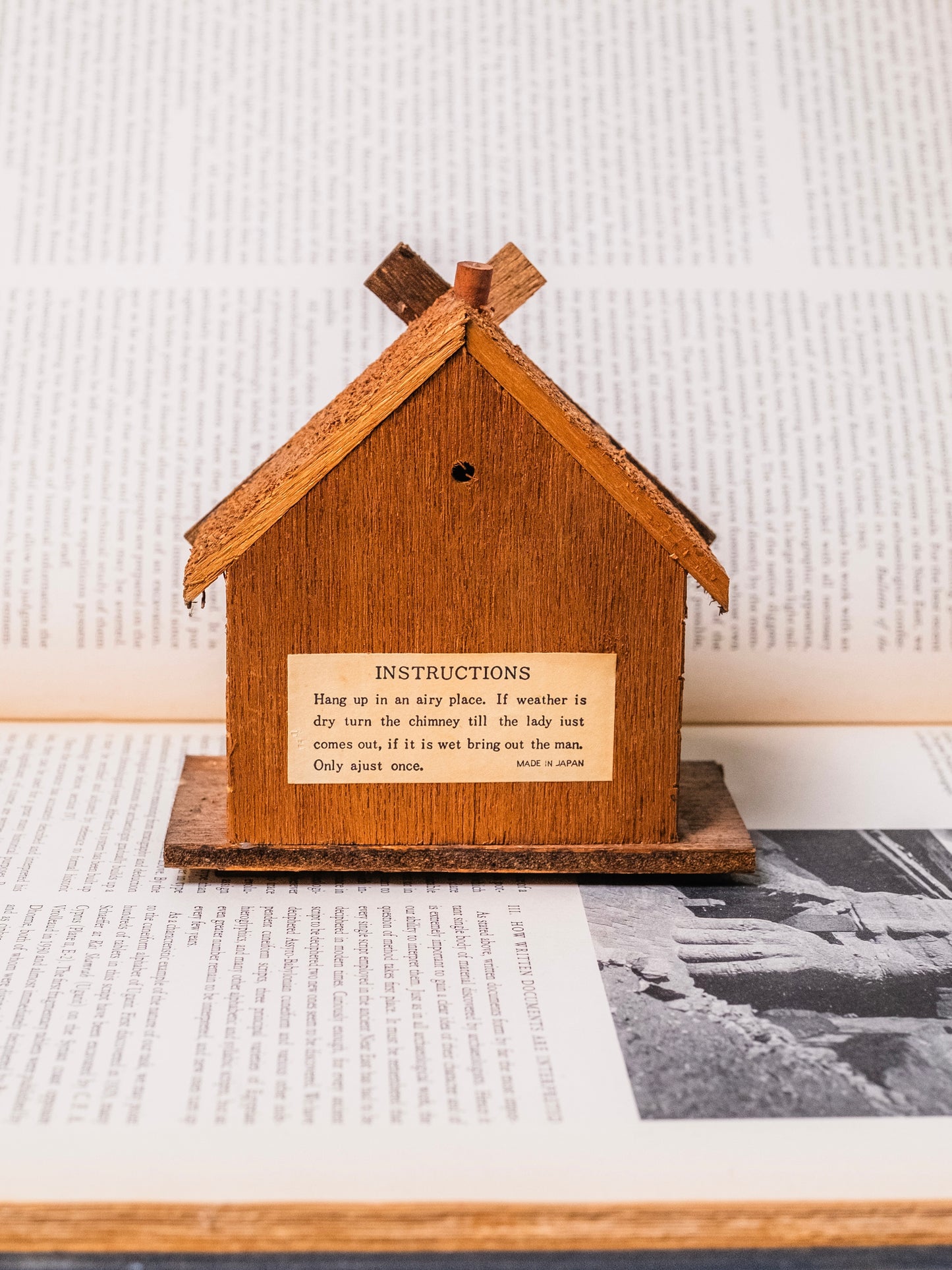 Vintage 1960s Folk Swiss Couple Wood Thermometer