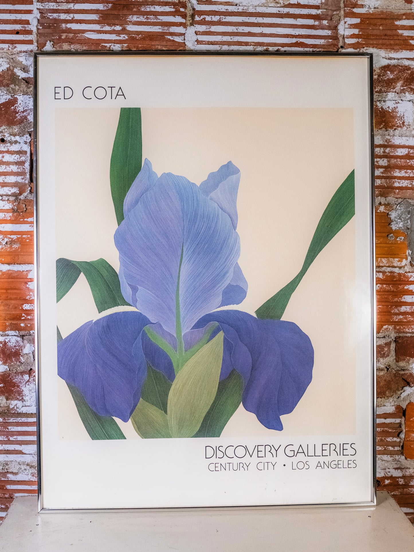 Vintage 1980s Framed Ed Cota Iris Exhibition Discovery Galleries Poster