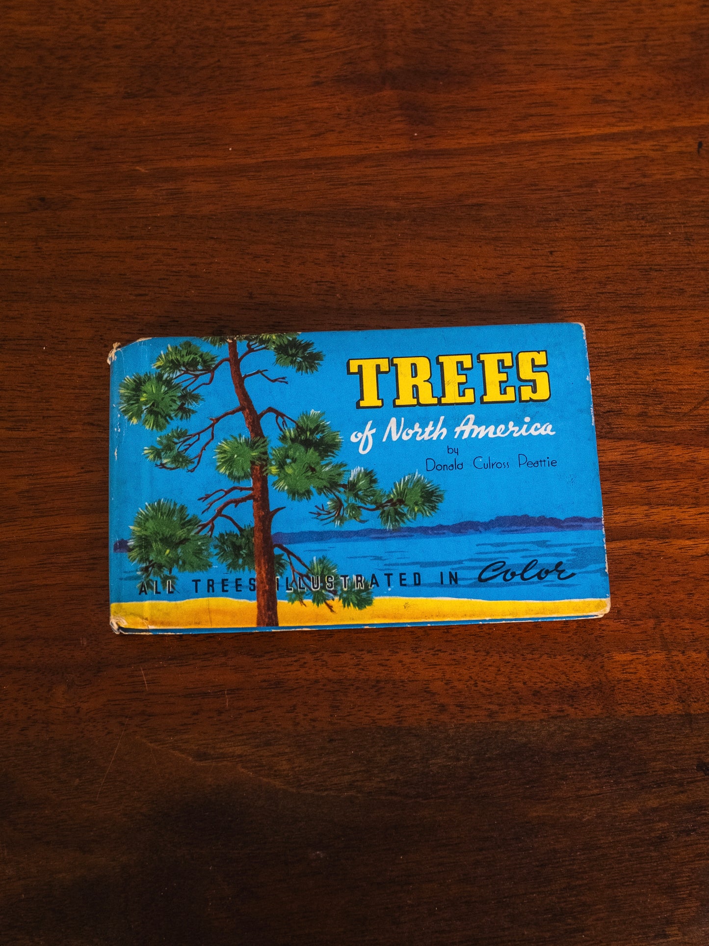 Vintage 1930s Trees of North America Guide Book