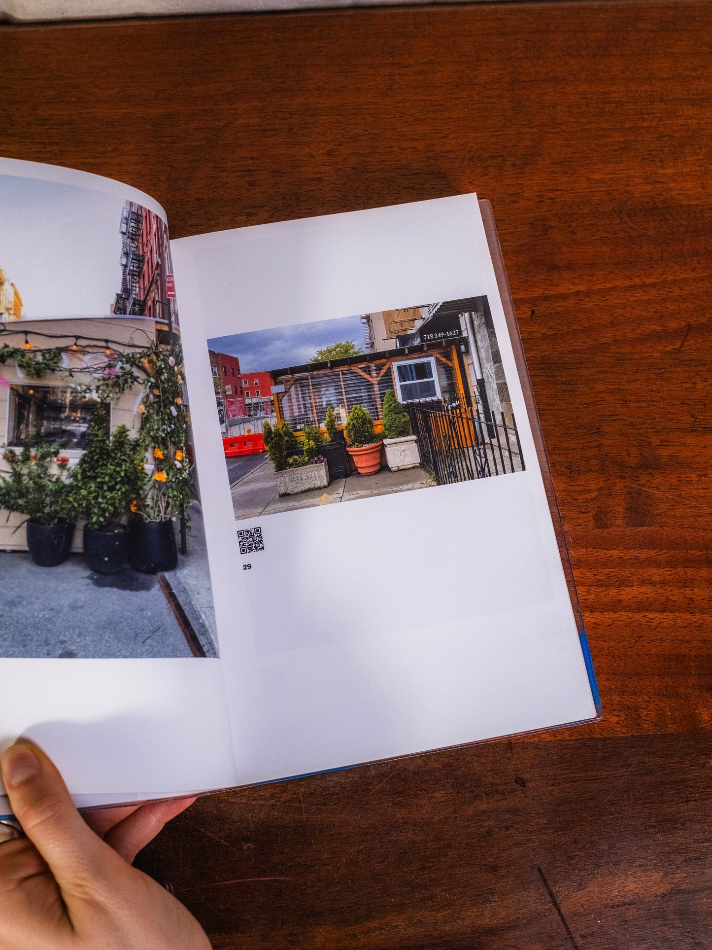 Al Fresco: Resilience in New York City Book