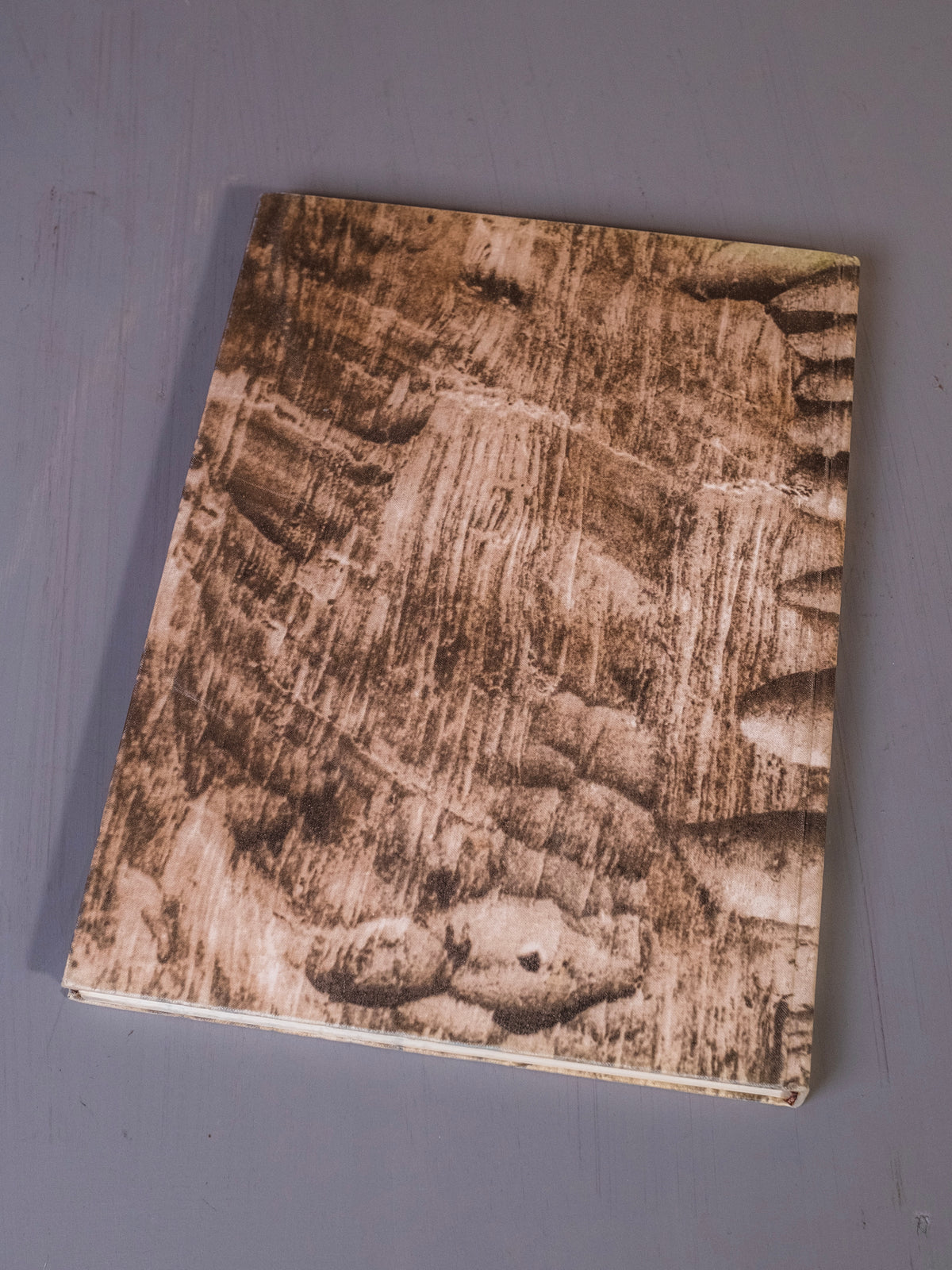Sergei Konionkov Book
