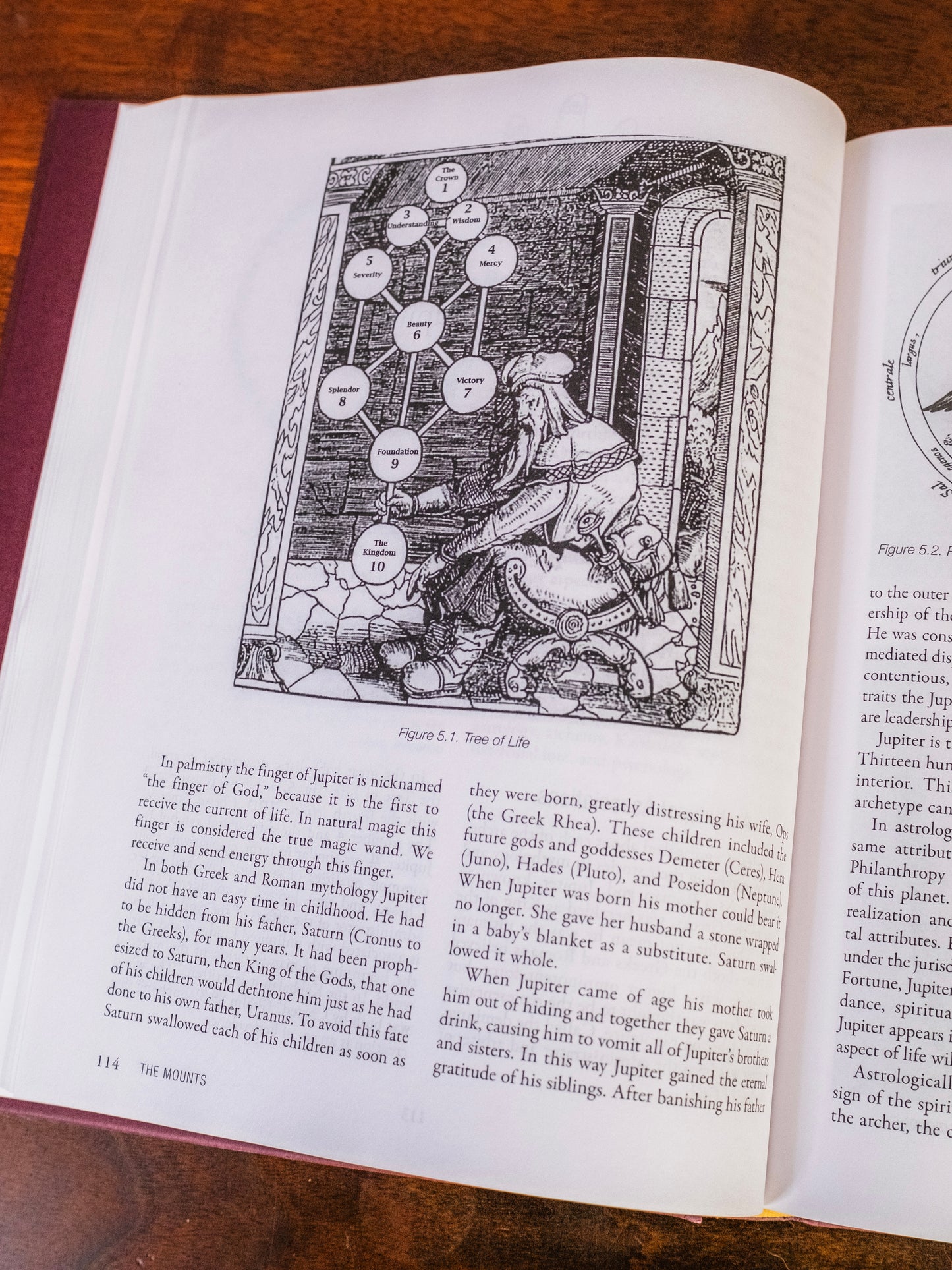 The Art & Science of Hand Reading Book