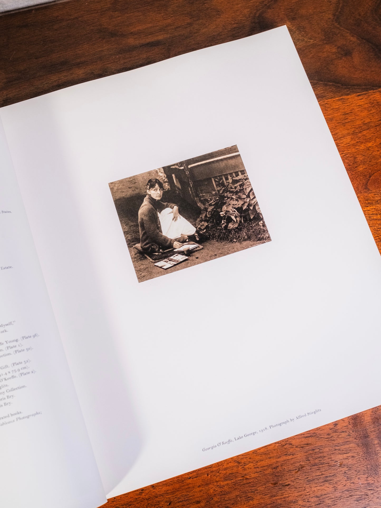 Georgia O'Keeffe: One Hundred Flowers Book