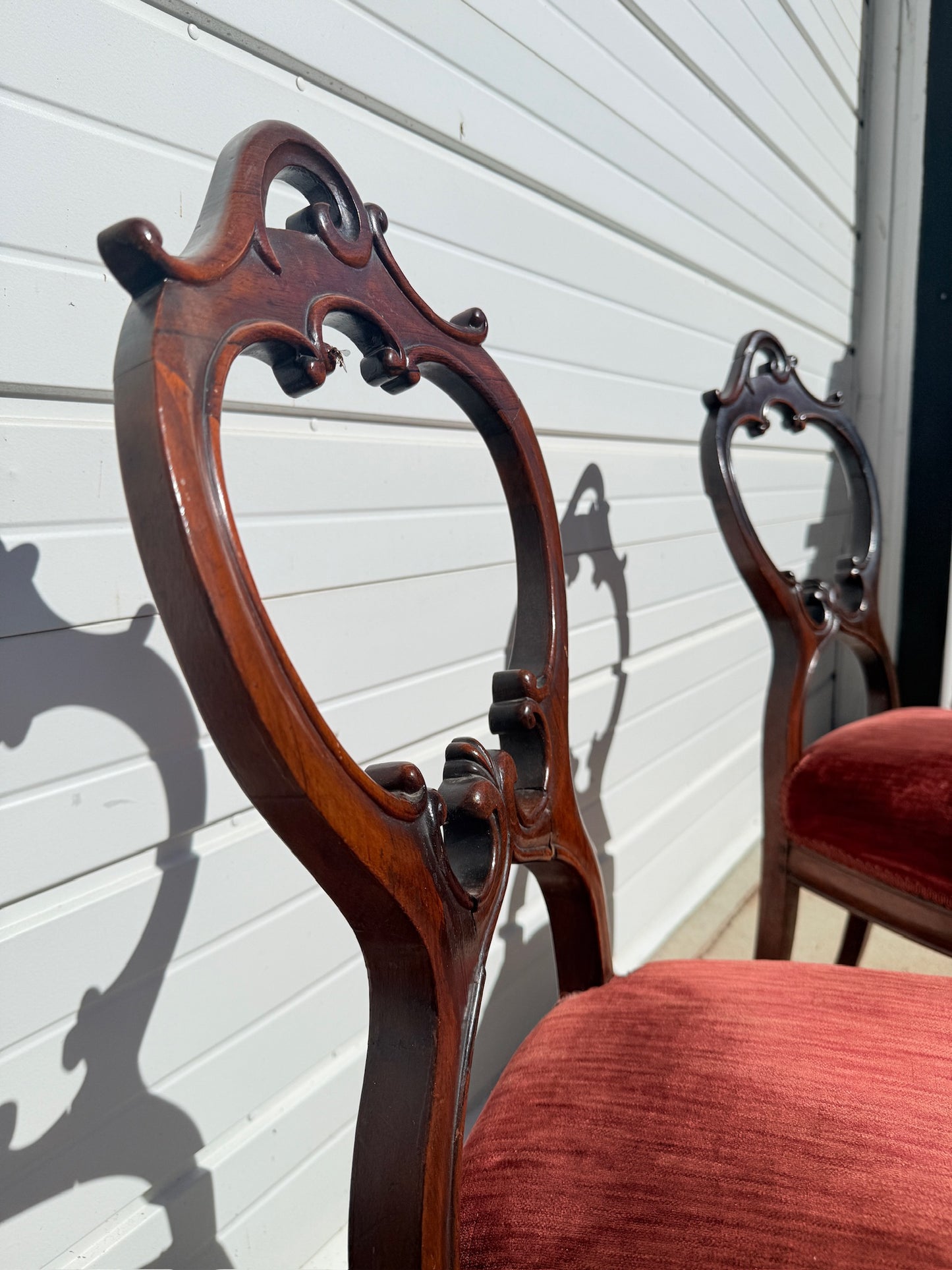 Antique 1900s Red Velvet Carved Rosewood Balloon Back Chairs | Set of 2