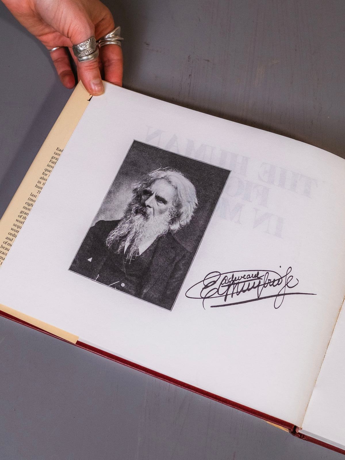 The Human Figure in Motion Book