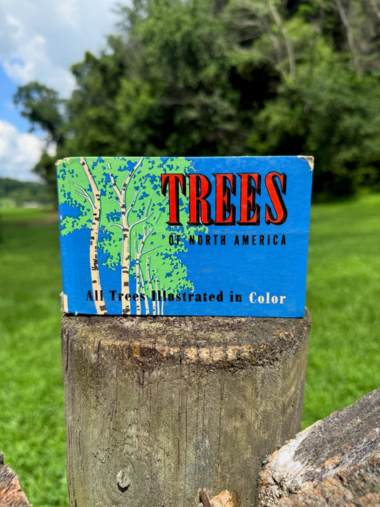 Vintage 1930s Trees of North America Book