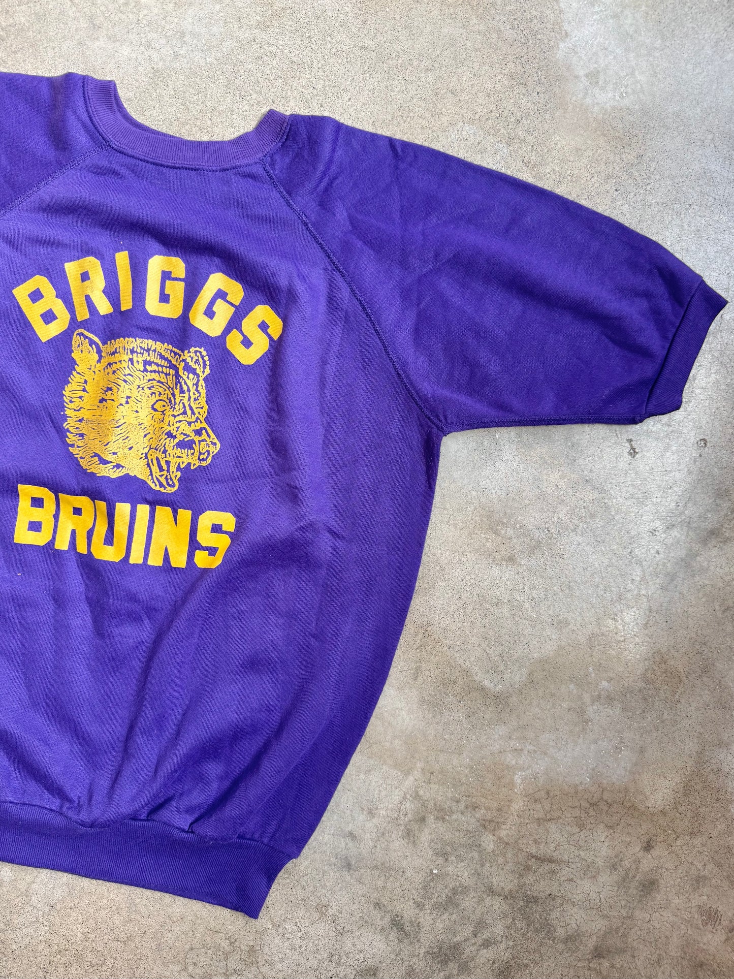 Vintage 1970s Purple & Gold Briggs Bruins Short Sleeve Sweatshirt | Large