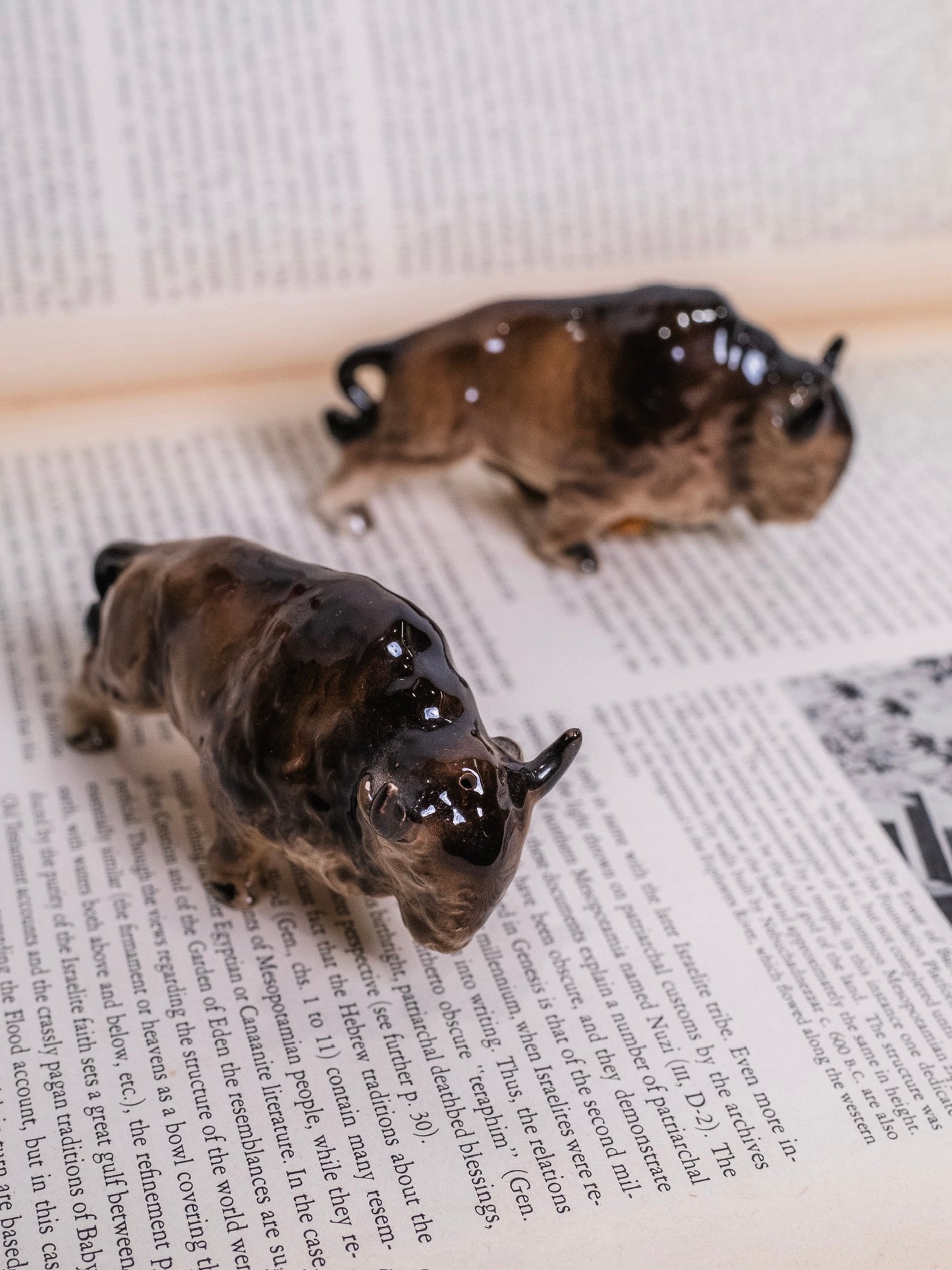 Vintage 1950s Ceramic Bison Salt & Pepper Shaker Set