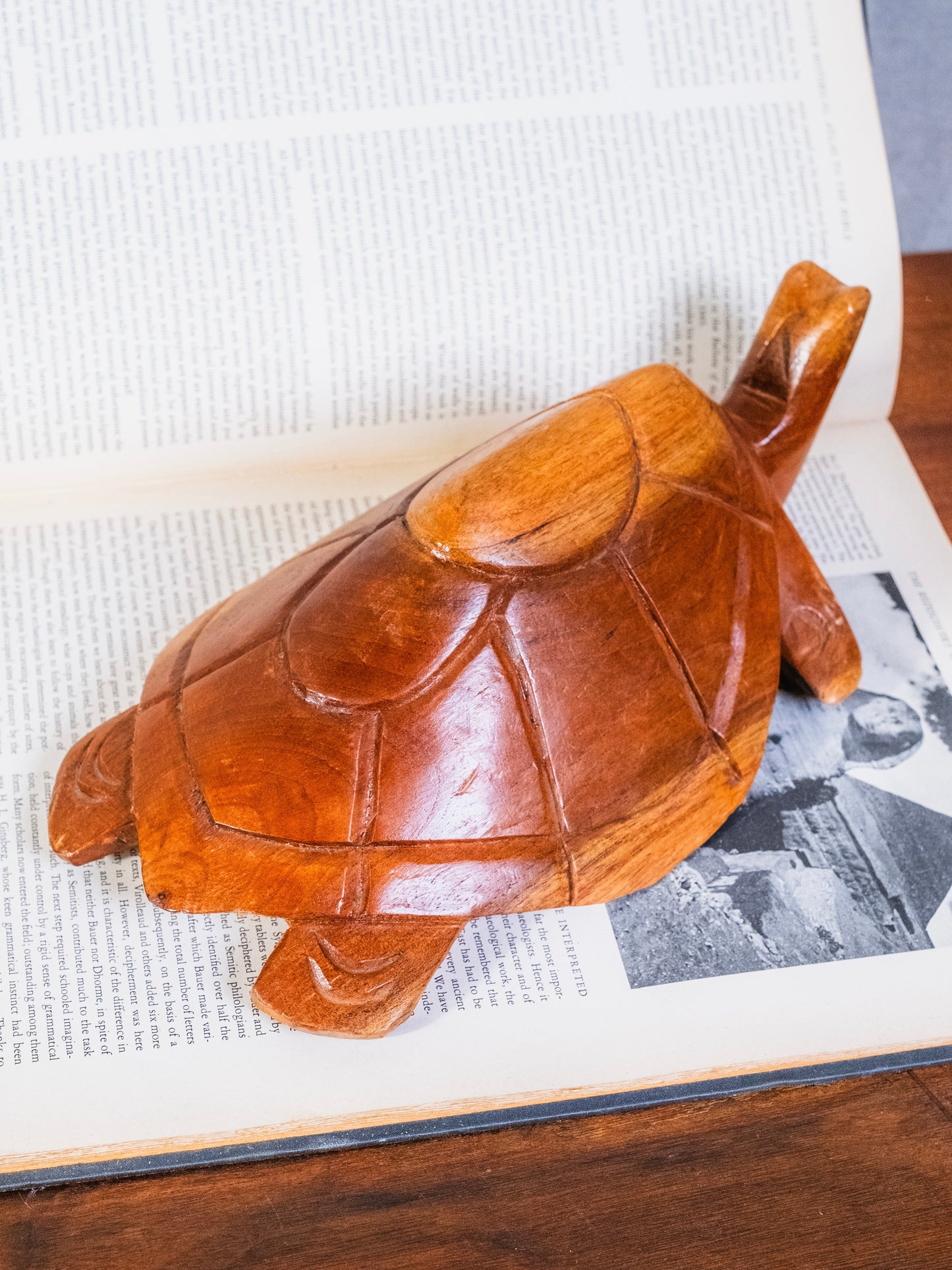 Vintage 1960s Wood Carved Turtle