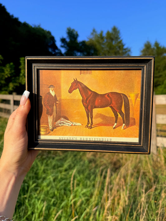 Framed Rysdyk’s Hambletonian Horse Racing Print Art